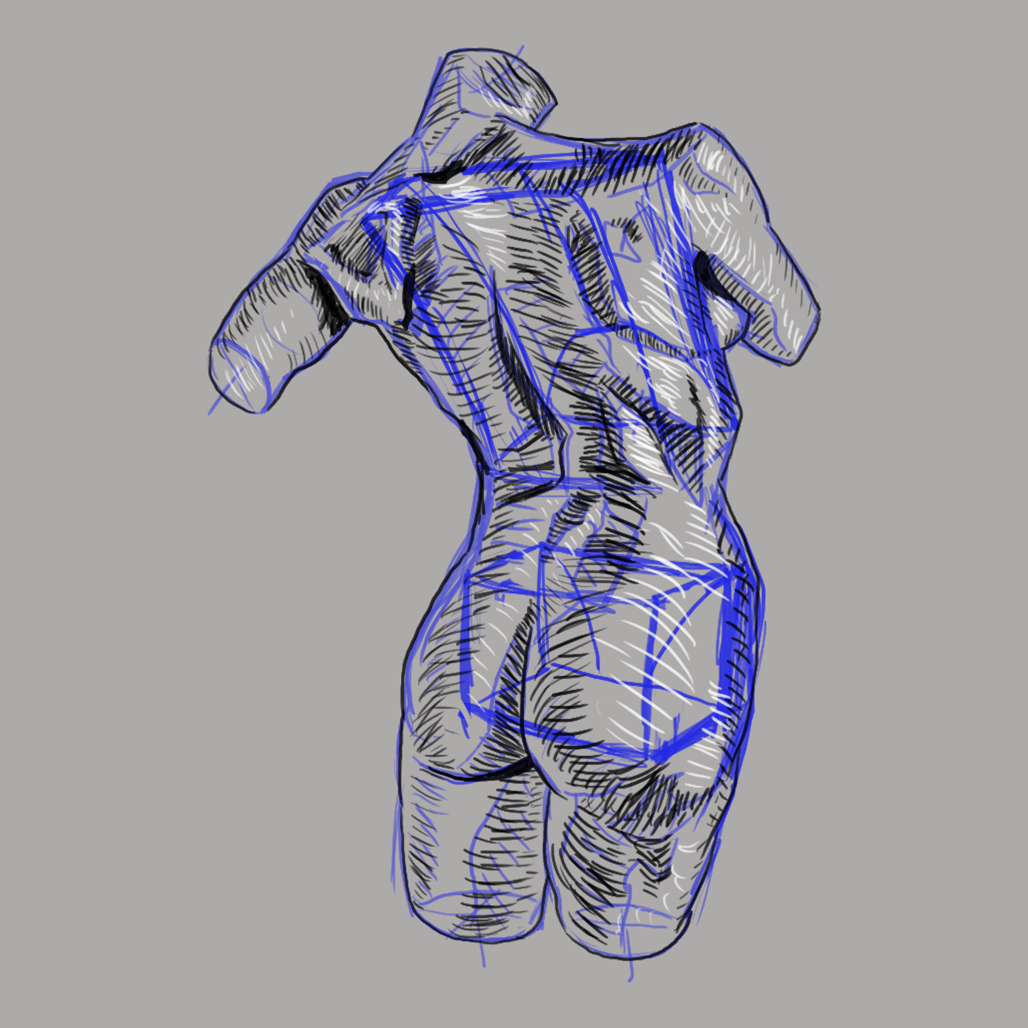 torso 7).png