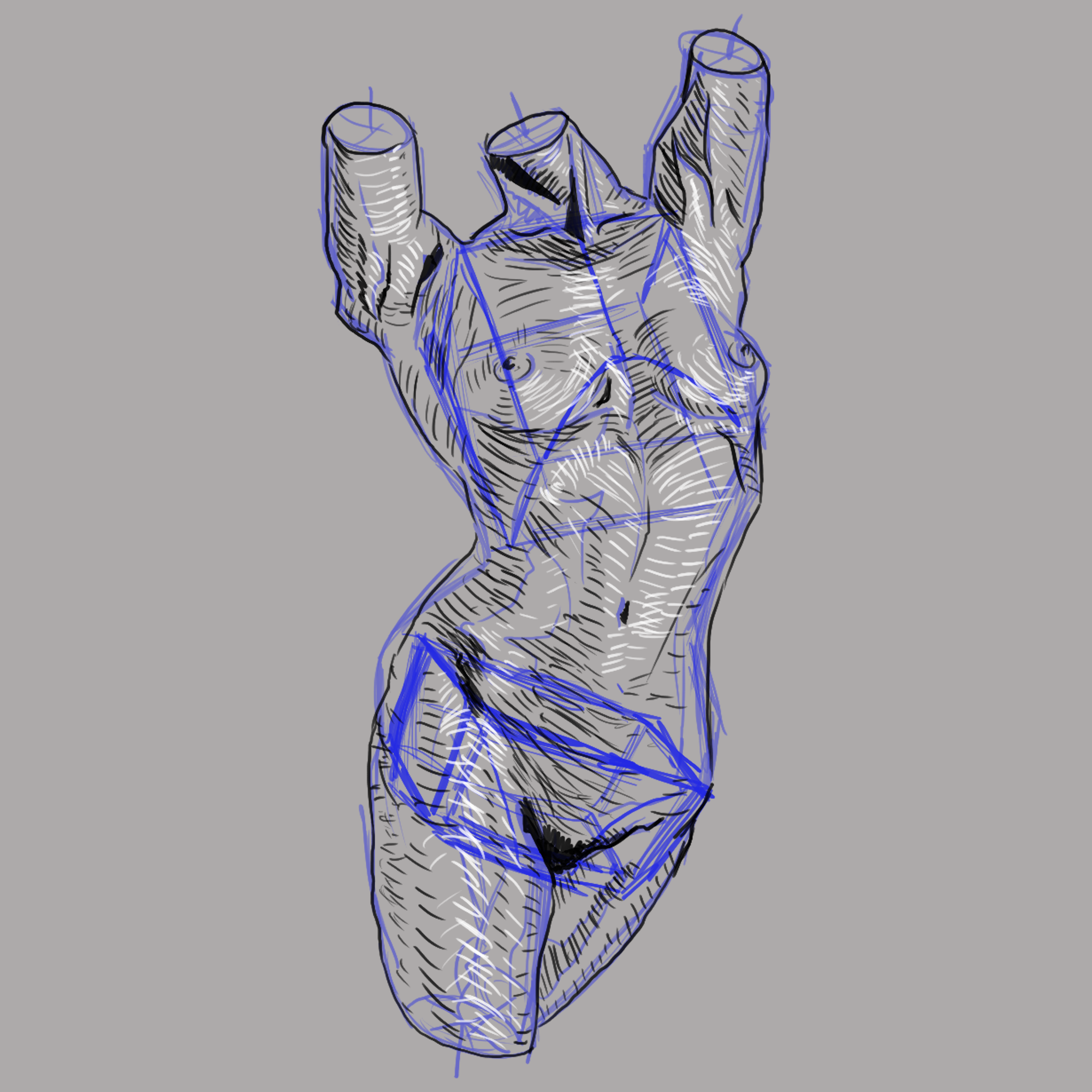 torso 8).png
