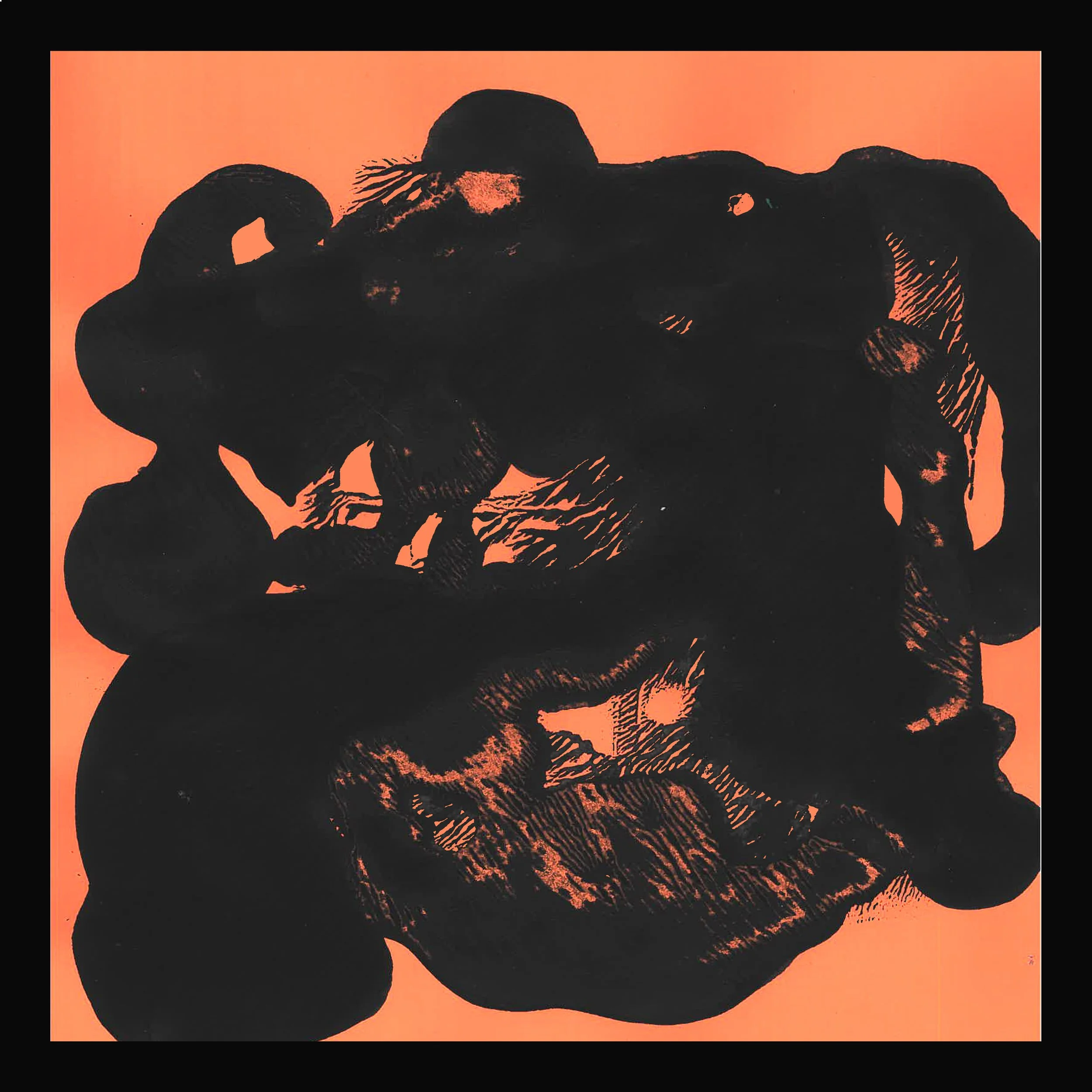 The Sleeping Leopard