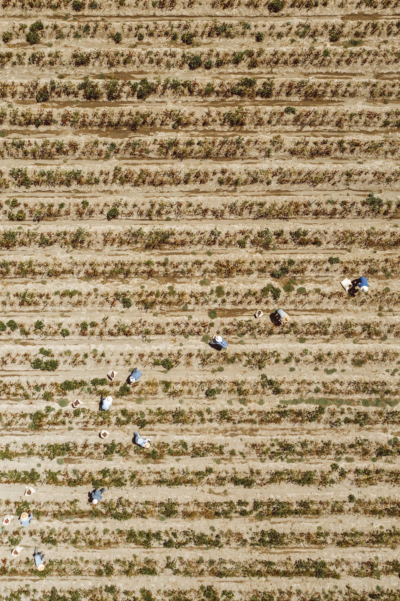 20190920-DJI_0038.jpg