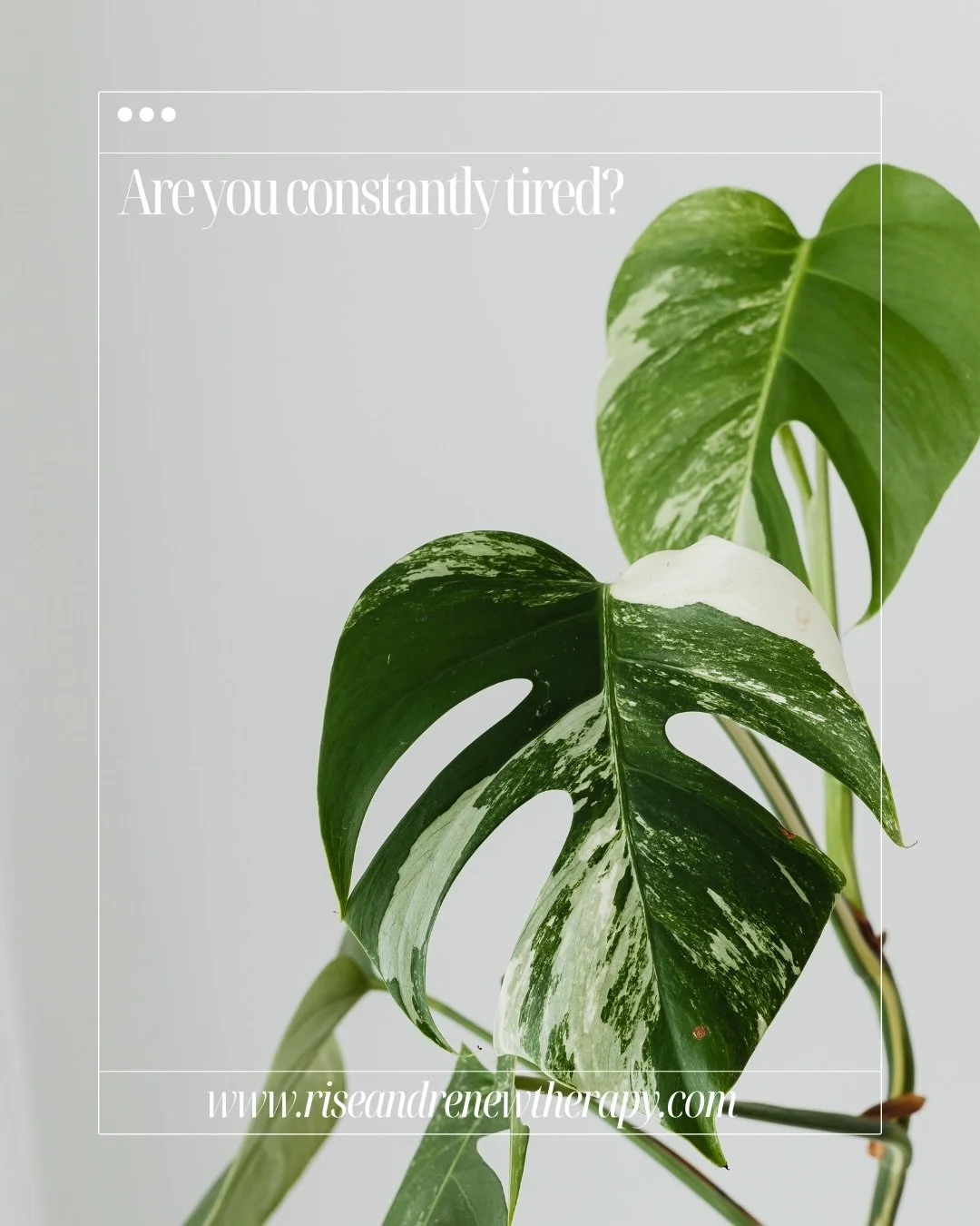 Tired of being tired? 
Let&rsquo;s look at burnout, not blame. 

✨ Connect with me:
📧 Email: julia@riseandrenewtherapy.ca
📱 Instagram: @riseandrenewtherapy
💻 Website: www.riseandrenewtherapy.com
🗓️ Booking: link in bio!