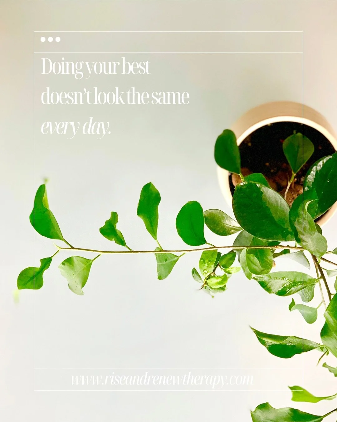 Therapy is where you find your balance again. 

✨ Connect with me:
📧 Email: julia@riseandrenewtherapy.ca
📱 Instagram: @riseandrenewtherapy
💻 Website: www.riseandrenewtherapy.com
🗓️ Booking: link in bio!  #psychotherapy #ontario #dbt #emdr #ifsthe