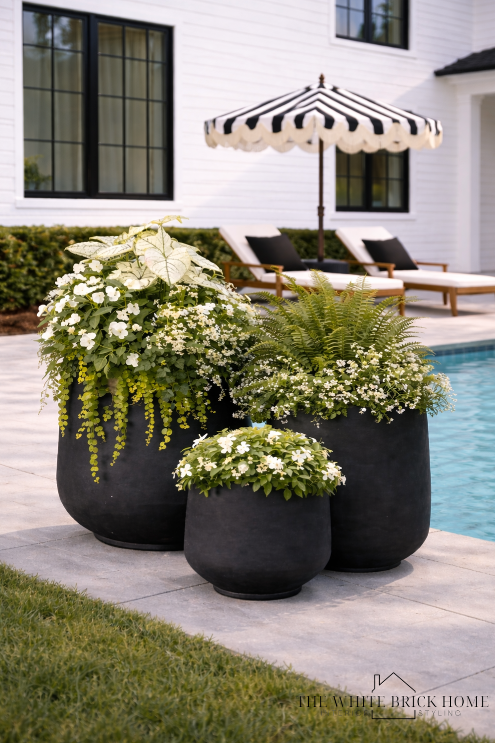 Concrete Planters 