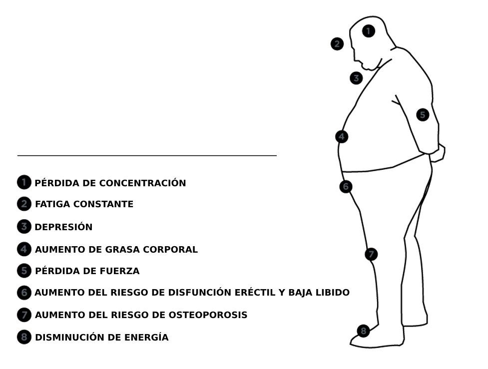 3tfen optimizador organico de testosterona, fuerza y energia natural.