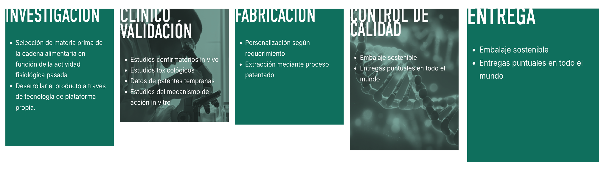 3tfen optimizador organico de testosterona, fuerza y energia natural.