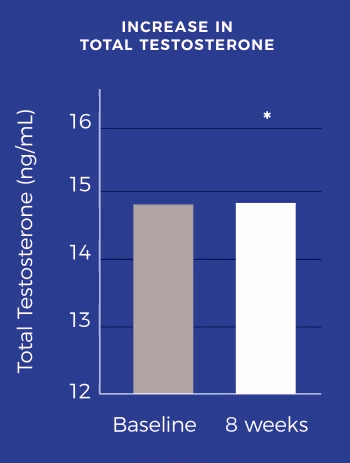 3tfen optimizador organico de testosterona, fuerza y energia natural.