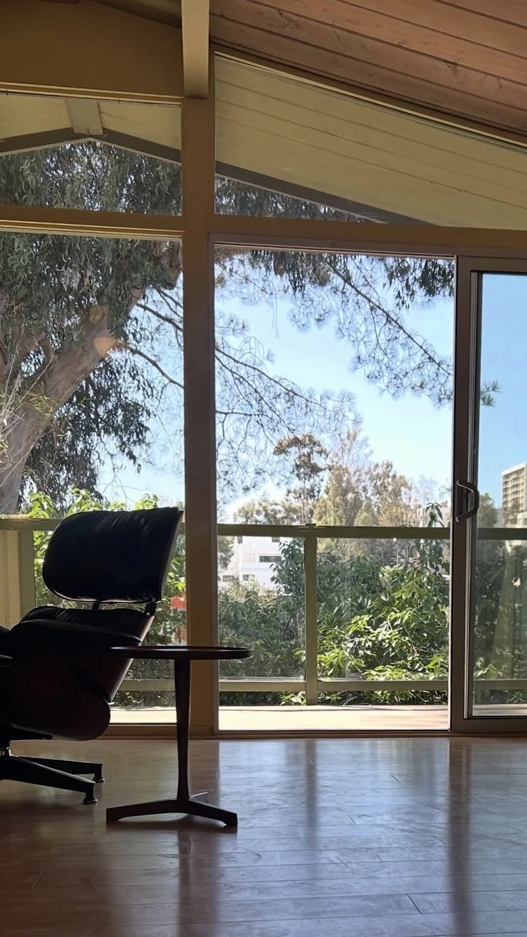 So, Who is the Best Real Estate Agent for Mid-Century Modern Homes in San Diego?