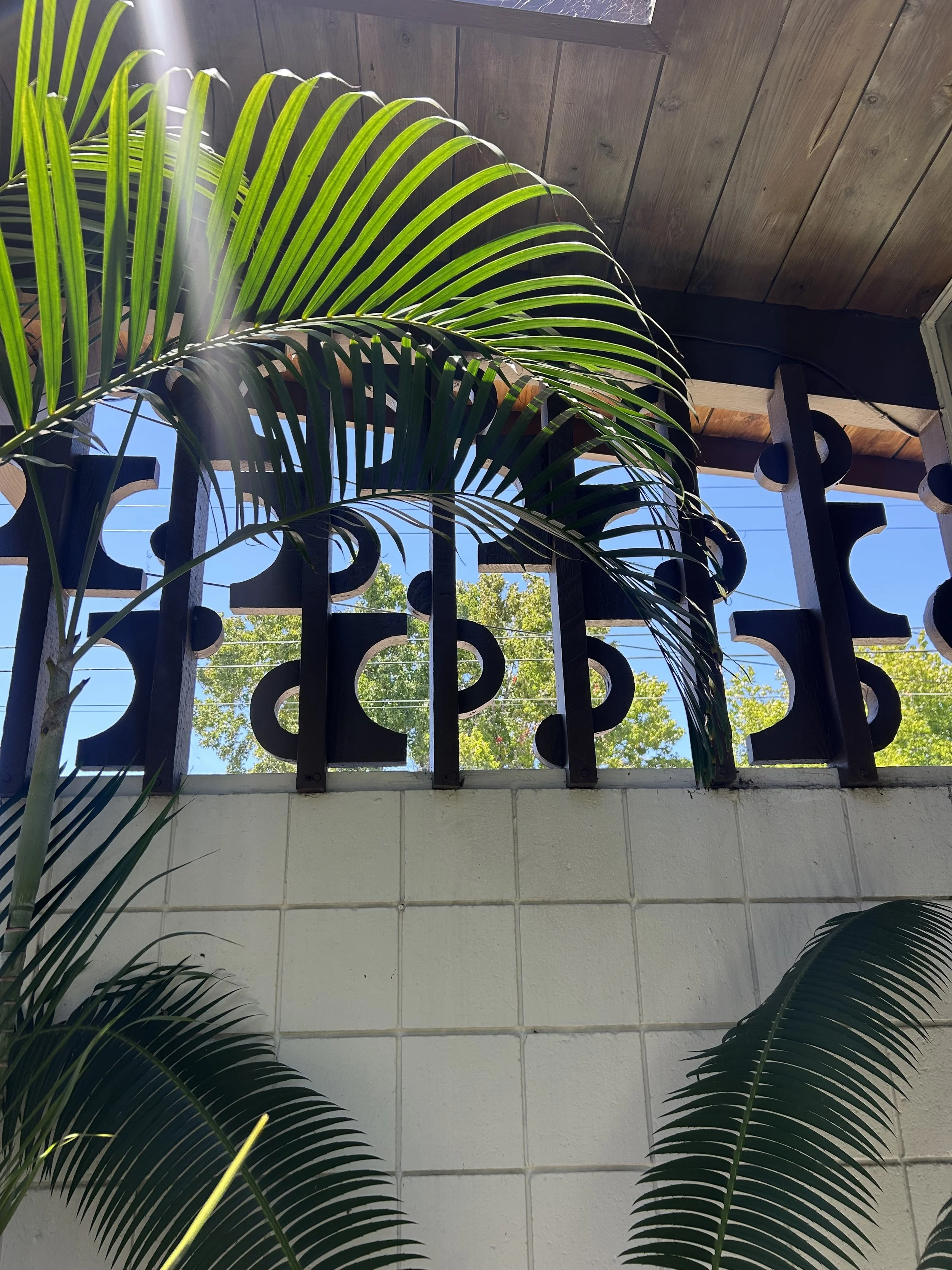 What Neighborhoods in San Diego Have the Most Original Mid-Century Modern Homes?