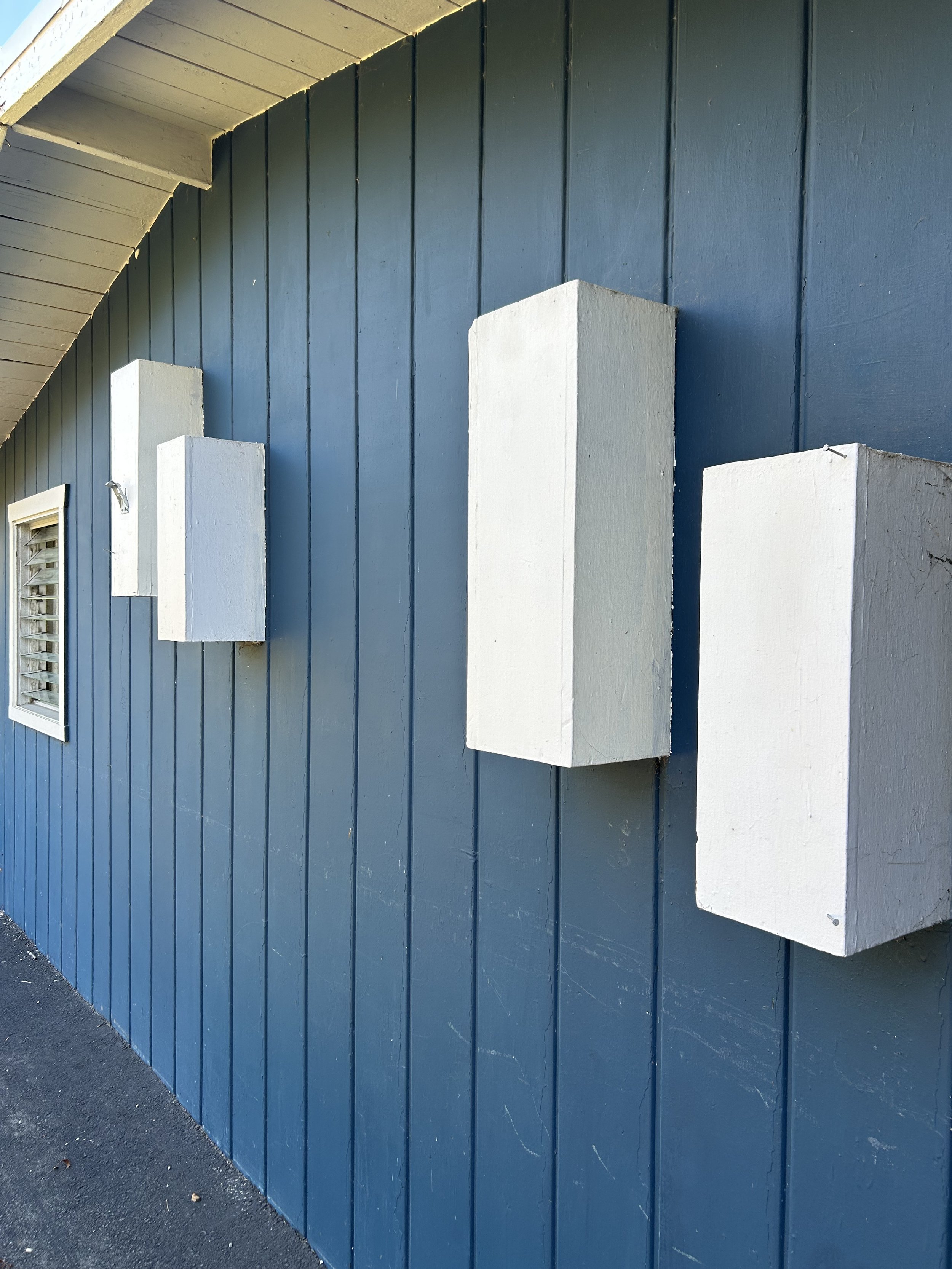 Should You Restore or Update Before Selling Your Mid Century Home in San Diego?