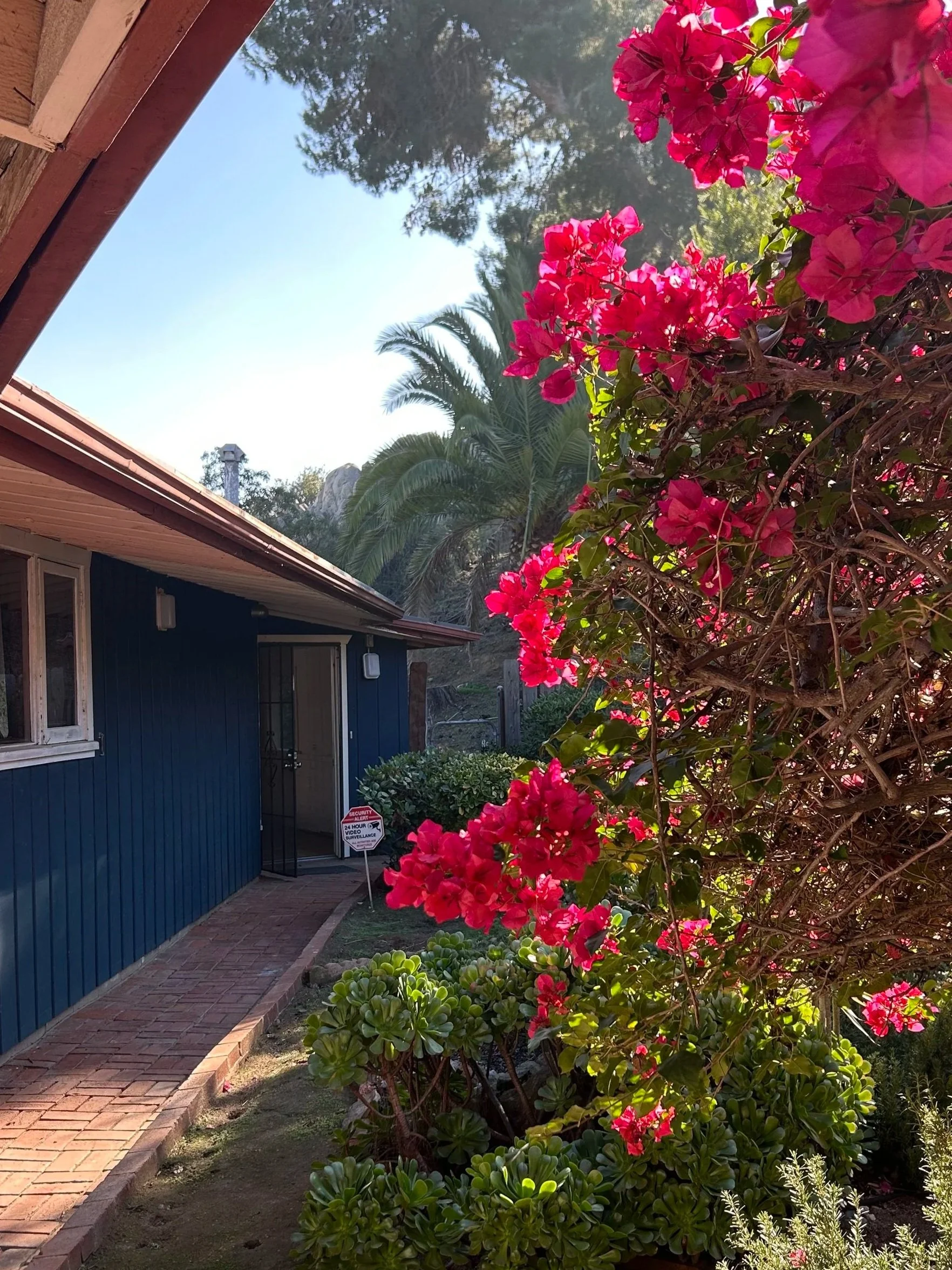 San Diego Mid-Century Modern Real Estate: Frequently Asked Questions