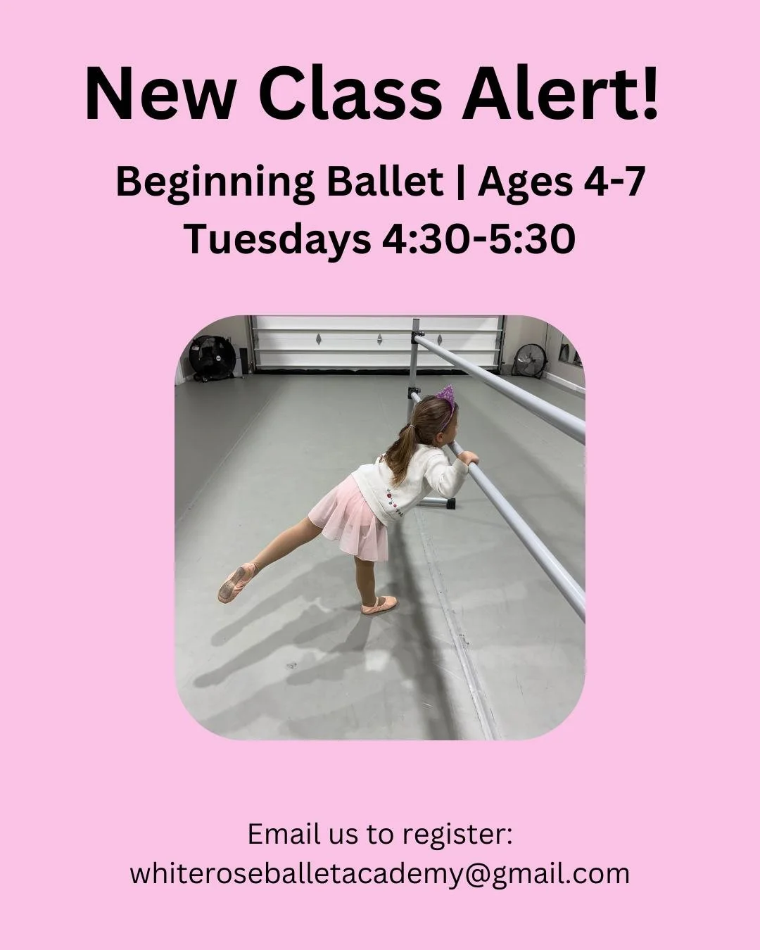 New Class Alert! Our new Beginning Ballet class is a bridge between our Rosebud and Children Division classes. Designed for ages 4-7, this is the first introduction to a formal ballet class structure. Dancers will get to work at the ballet barre for 