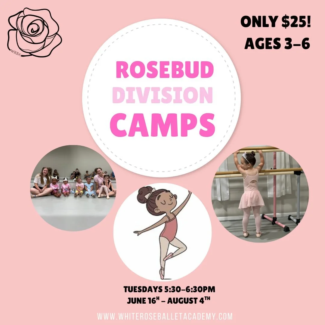 Join us this summer for our Rosebud Division camps for ages 3-6! Perfect for continuing to gain new skills, or trying ballet for the first time! 

Registration opens April 1st. Check out our fun themes on our website and mark your calendars!☀️🩰