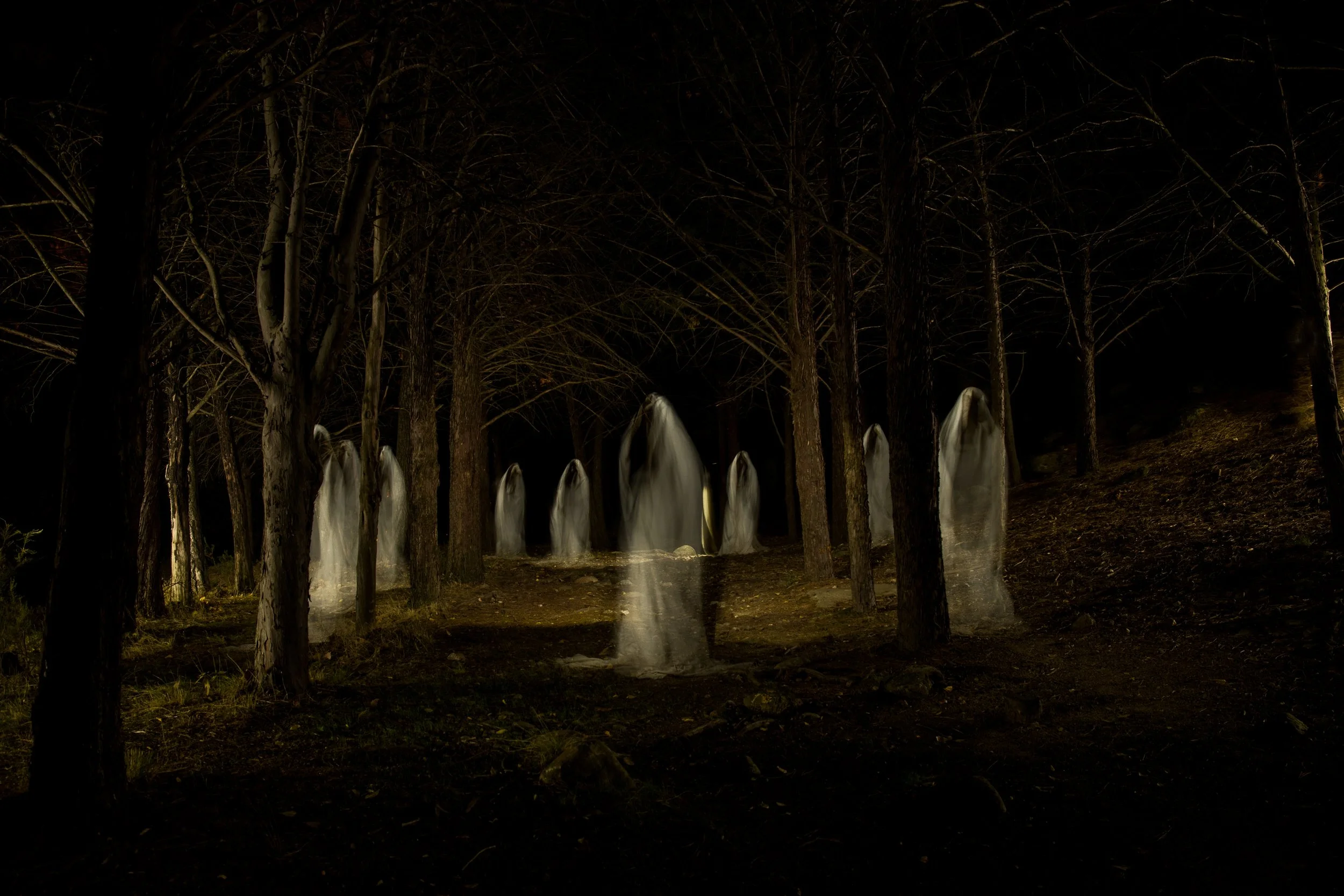 Cursed Market : A Horror Event