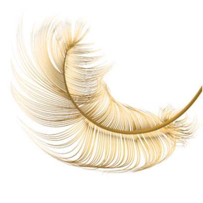 gold feather