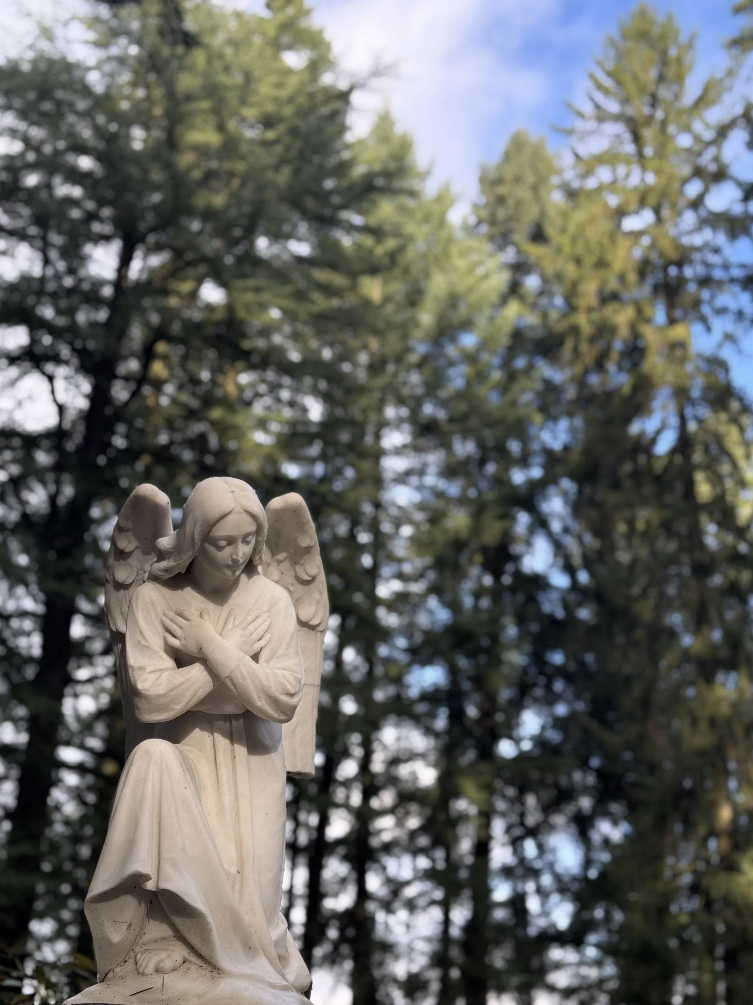 Gentle Surrender: An In-Person Lent Retreat/Wednesdays 1:00pm-3:00pm PST