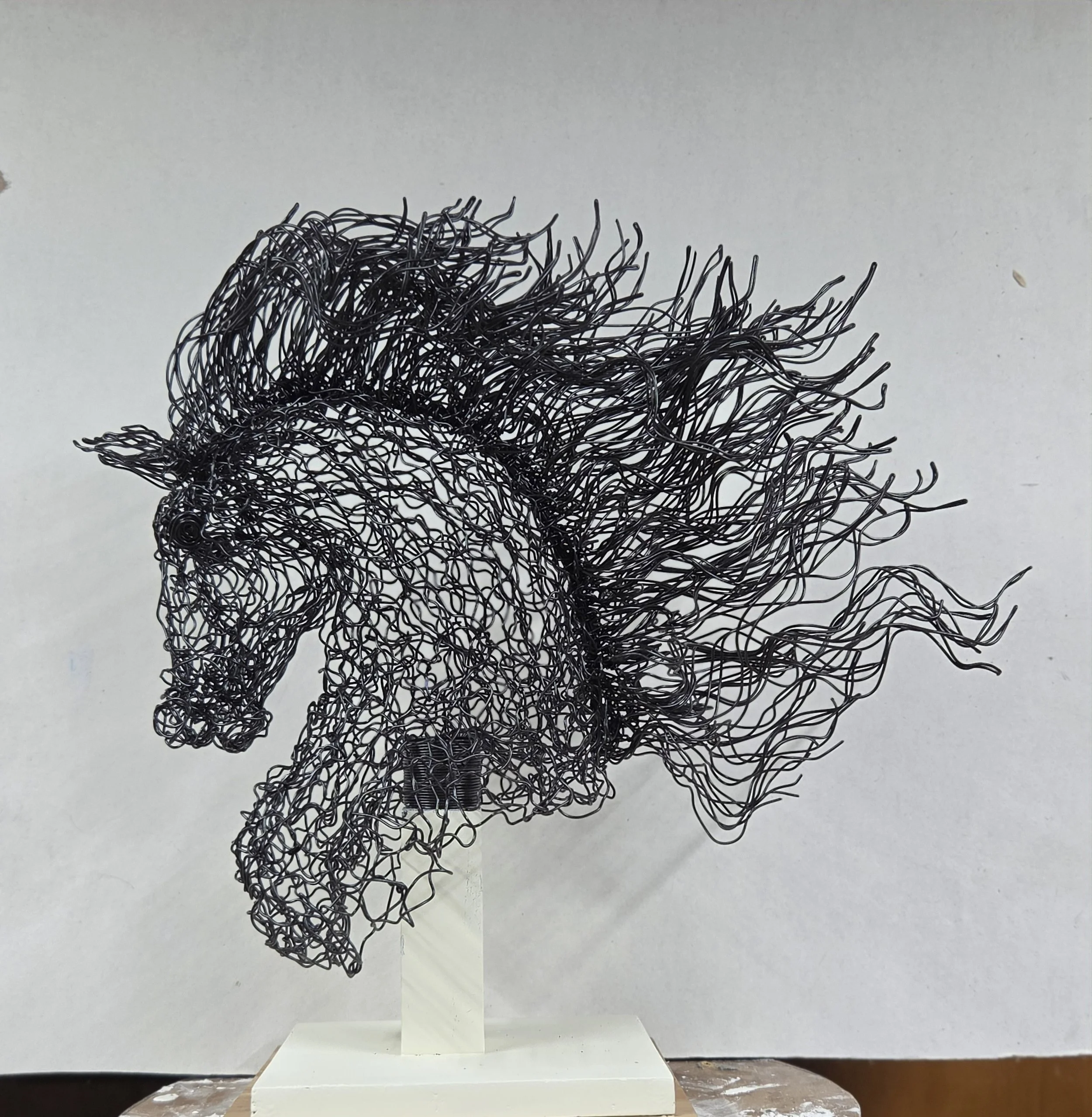 Windy