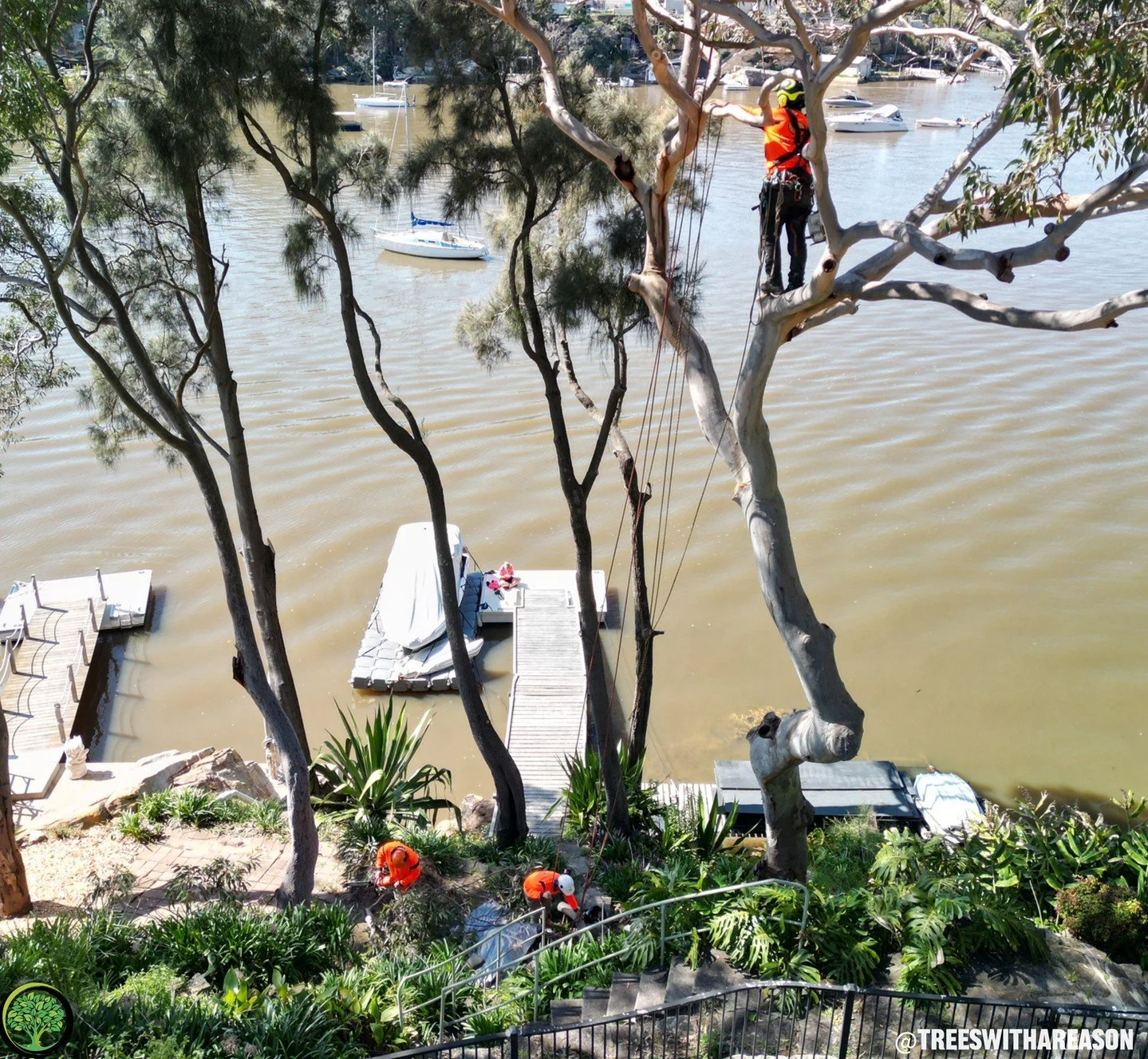 Josh giving this riverside gum a tidy trim and a new lease on life. Regular pruning keeps trees strong and safe.

Have you noticed any branches getting a little heavy lately?

Get your free quote today &mdash; just a click or call away!

📞Contact us