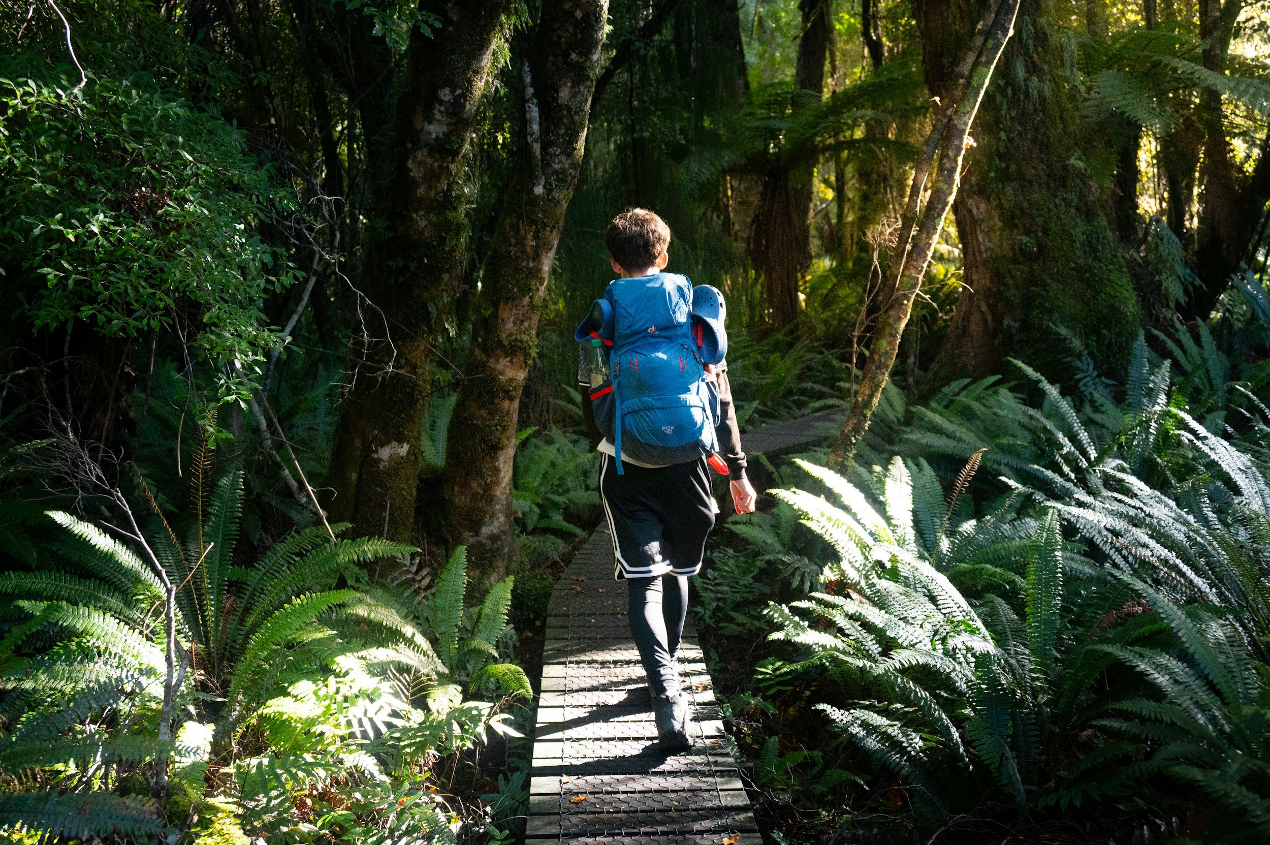 a paerson on a hiking trail wearing a backpack