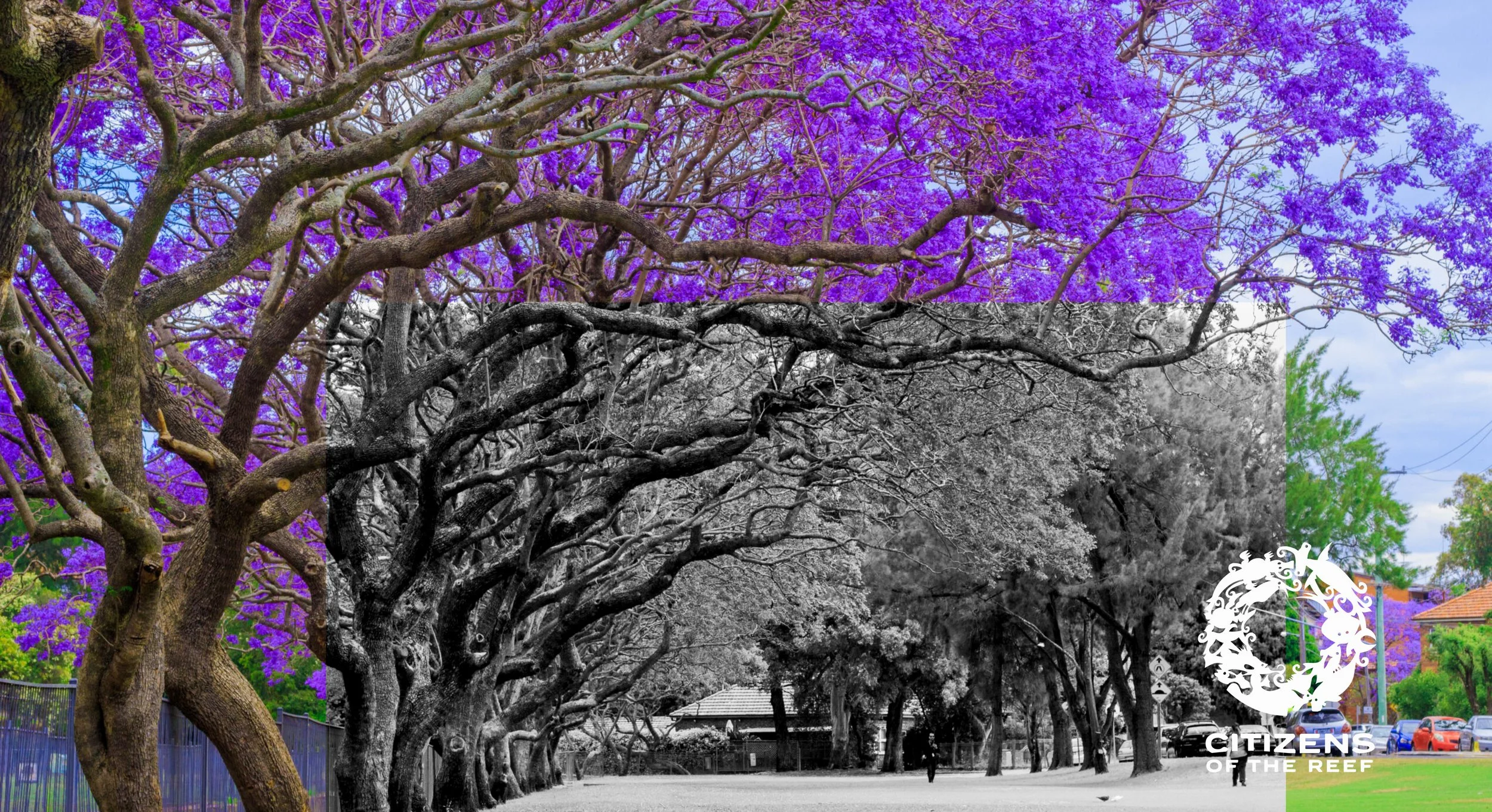 Let's turn the filter off