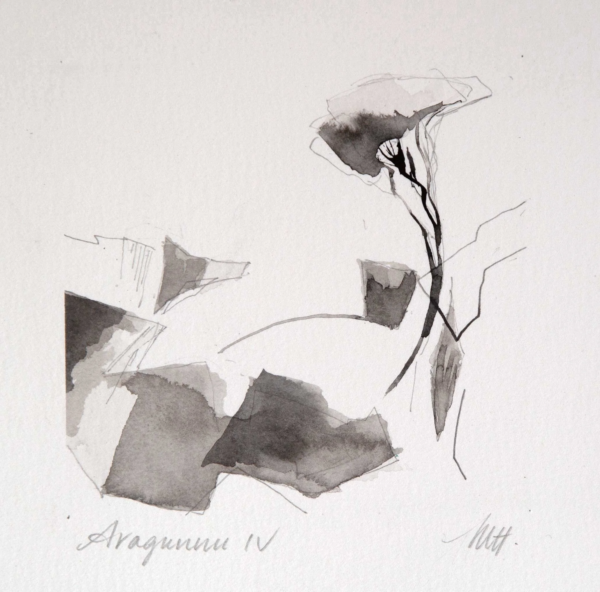 [ SOLD ] ARAGUNNU IV – Ink and graphite on paper. 11.5 x 11.5cm Framed. $440 (or $1500 for set of four)