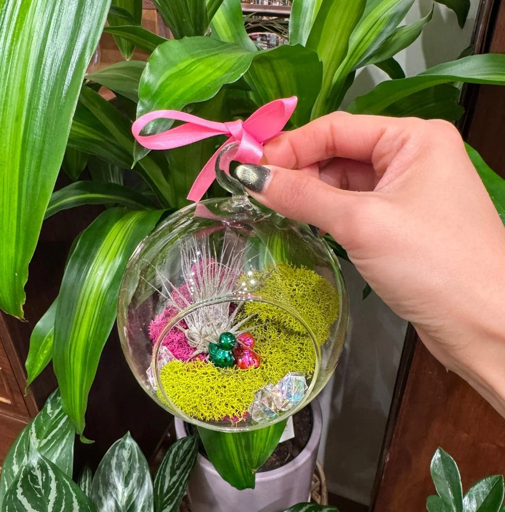 DIY HOLIDAY PLANT ORNAMENT