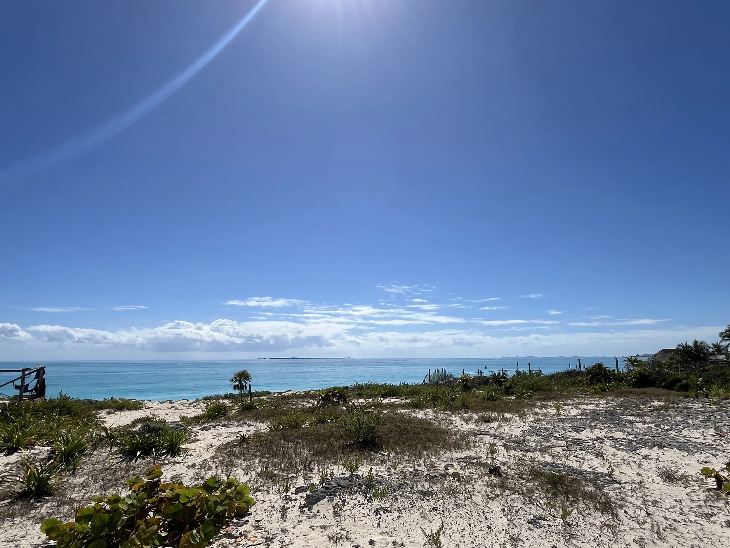A sunny beach scene with clear blue sky, turquoise ocean, sandy shore, and sparse green vegetation.