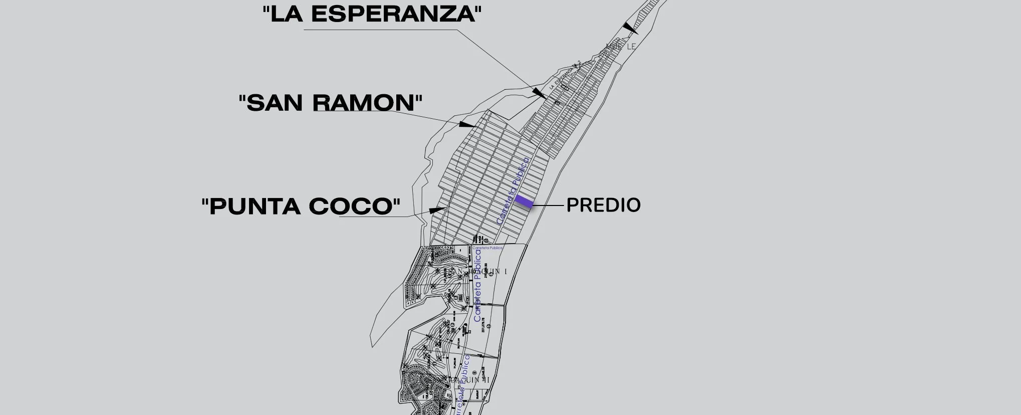 A detailed map of a coastal development project showing different zones labeled 'La Esperanza,' 'San Ramon,' 'Punta Coco,' and a building labeled 'Predio.' The map includes streets, plots, and infrastructure details.