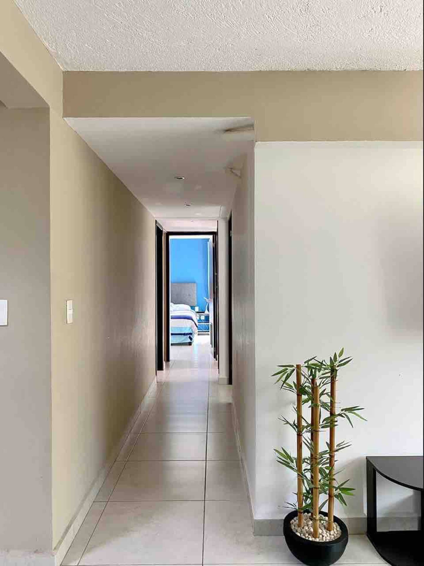Interior hallway with beige walls and white tiled floor, leading to a bedroom with blue walls. A potted bamboo plant with pebbles is on the right side.