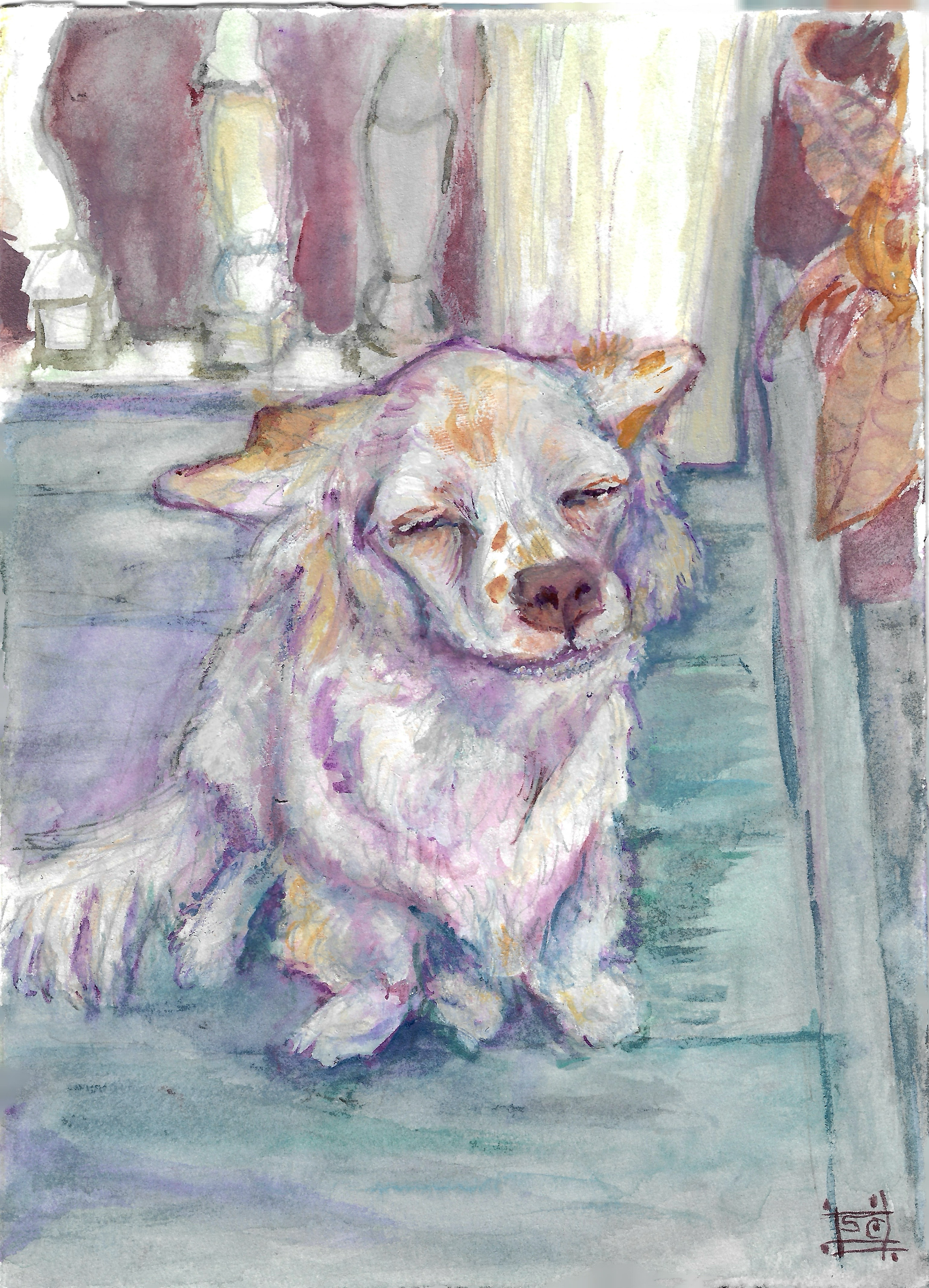 Merry
2026
5x7"
Watercolor on paper

Portrait of Merry, the sweetest Chiweenie in St.Paul
