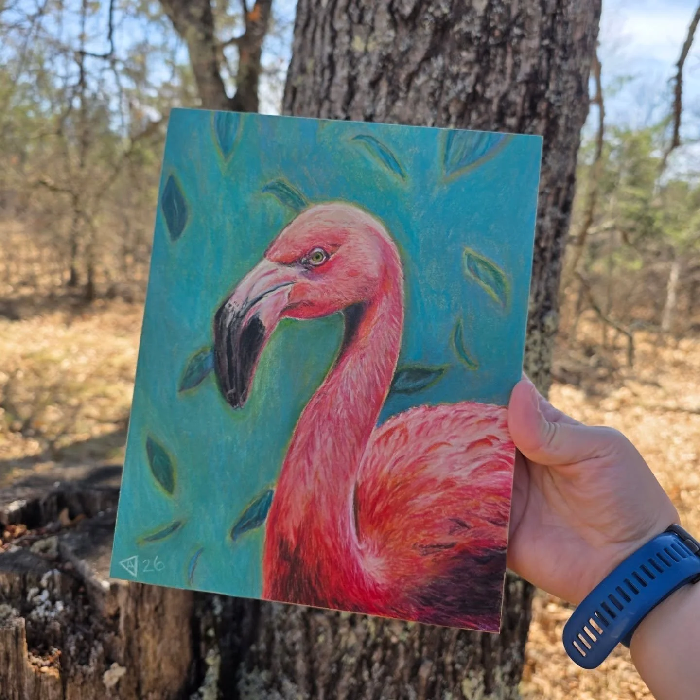April's drawing finished! A hot pink flamingo. 

Today I got it mounted and varnished. Hopefully tomorrow I'll finish the frame I started. I'm excited to make some of my own floating frames for new work. 

Send a message if you're interested in the o