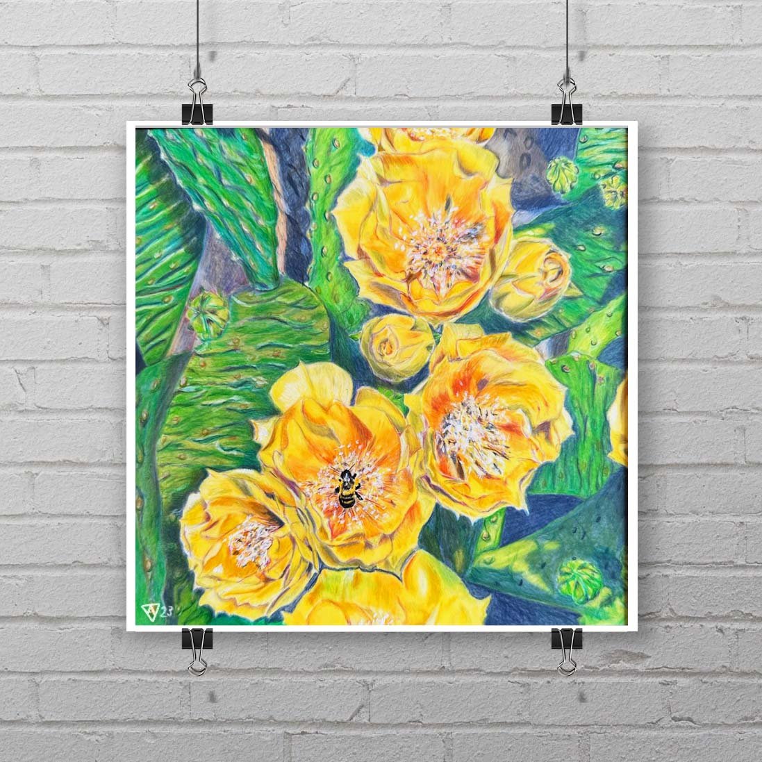 Cactus Flowers - 2023.jpg
