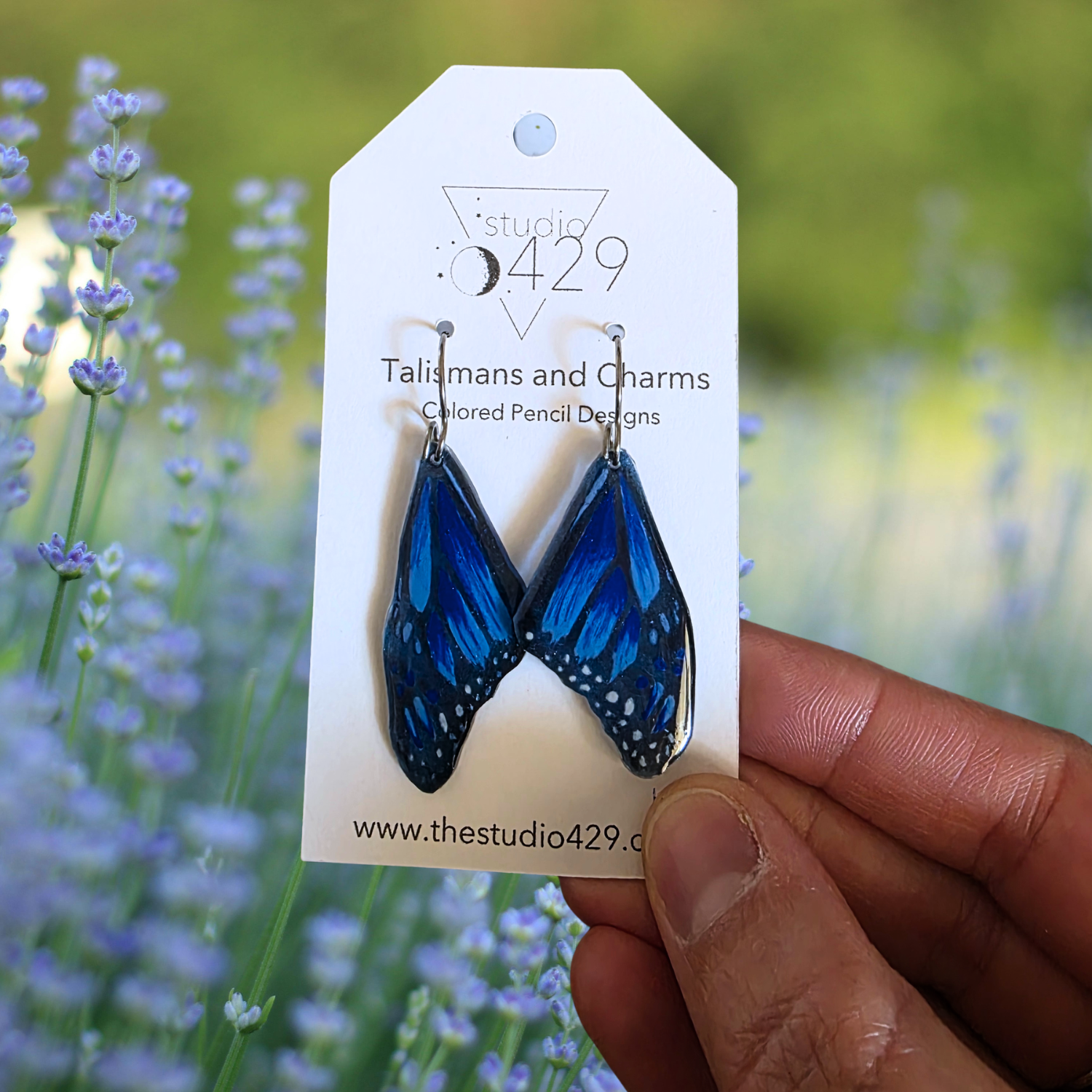Blue Butterfly Wings