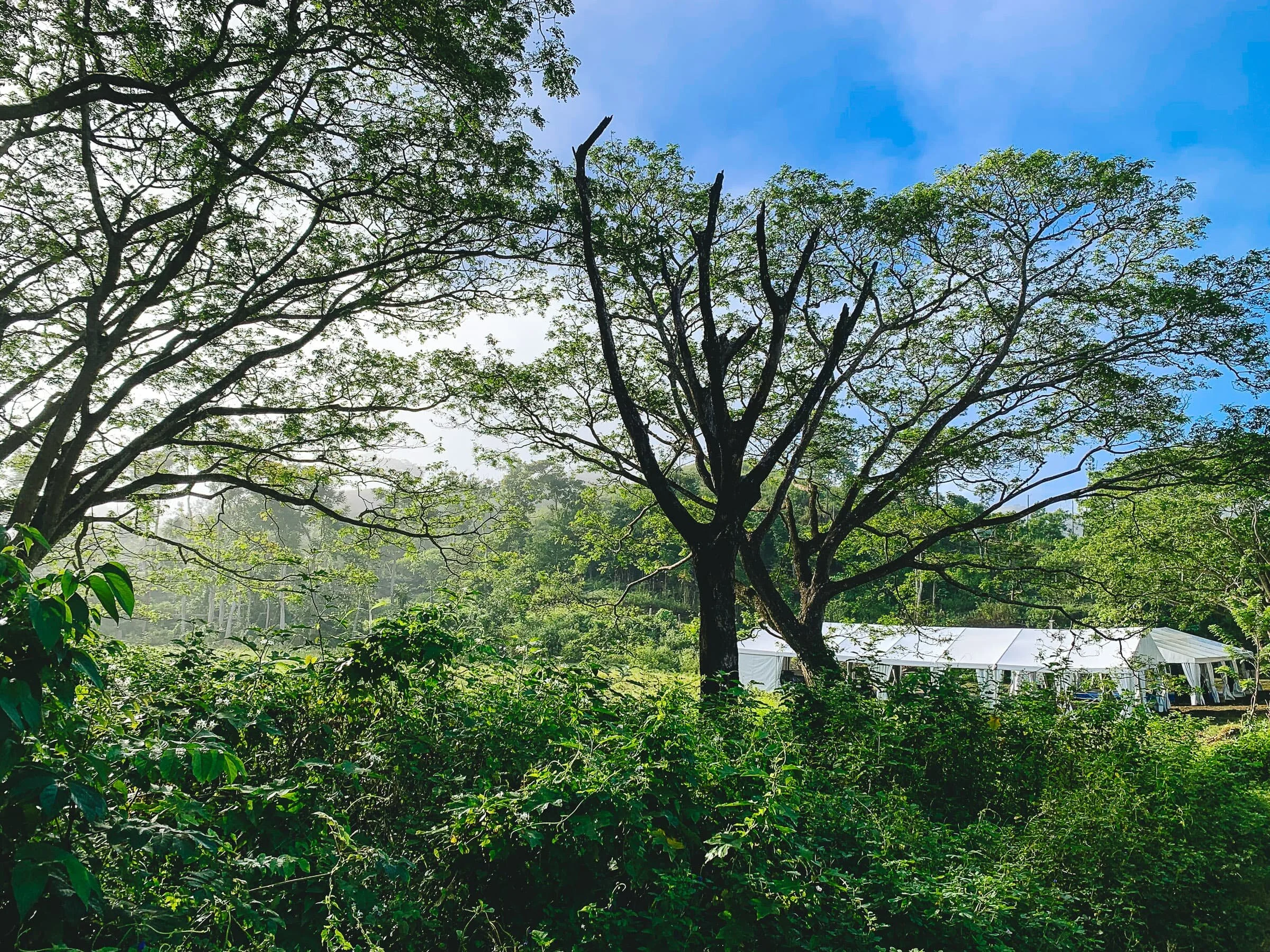 Corporate Event: Sigatoka Valley