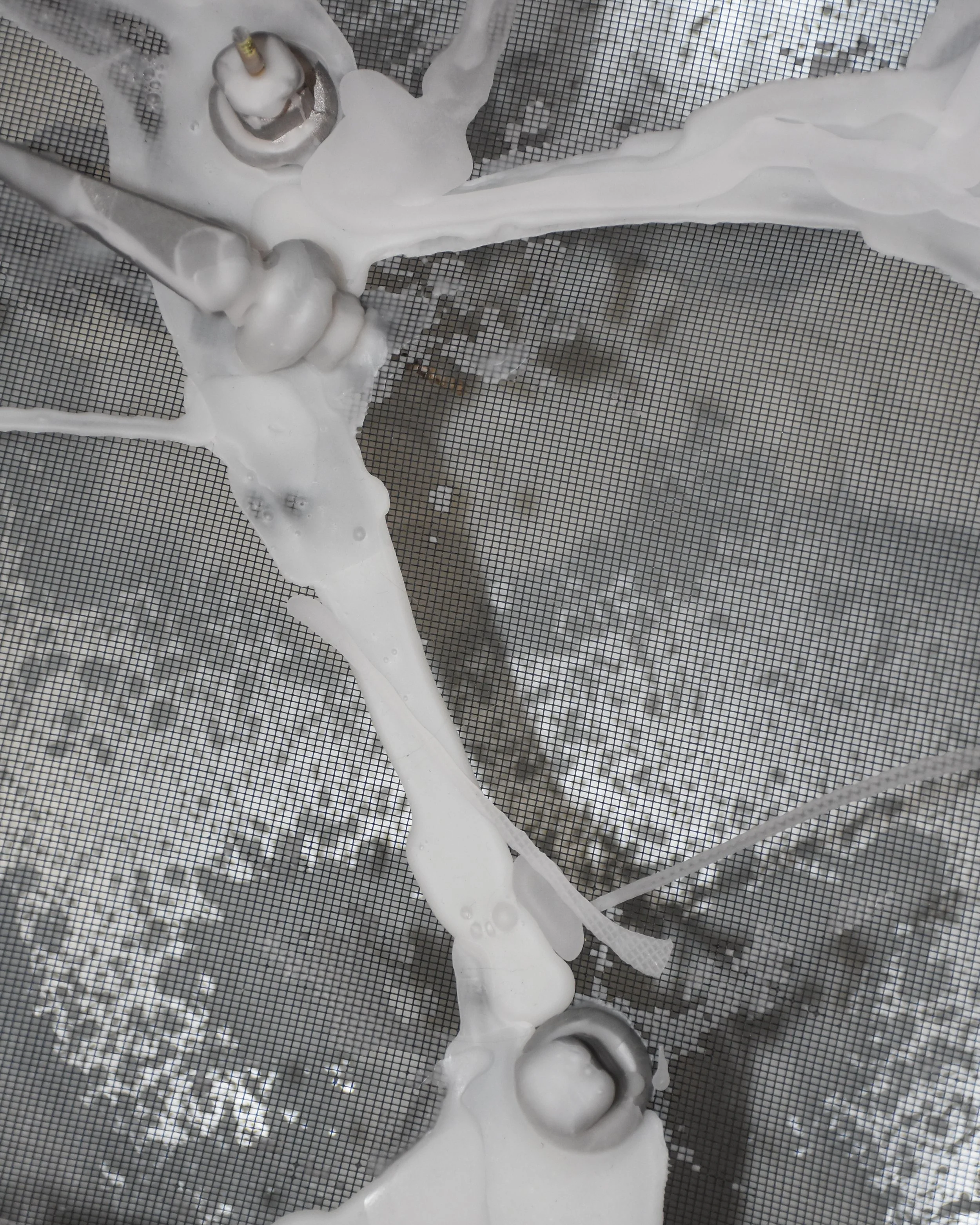 in collaboration with...