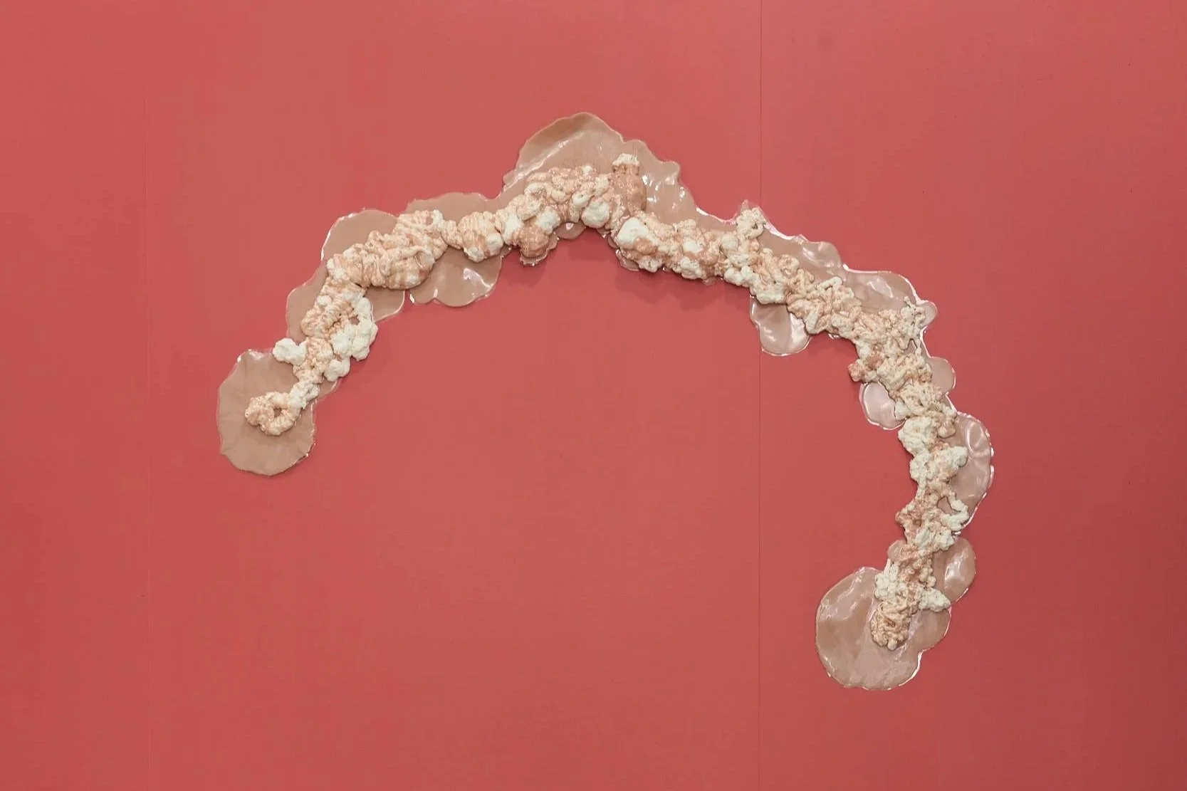'Anarchive: Gut-feeling' installation view, 2026, Adelaide Contemporary Experimental. Photography by Sam Roberts.