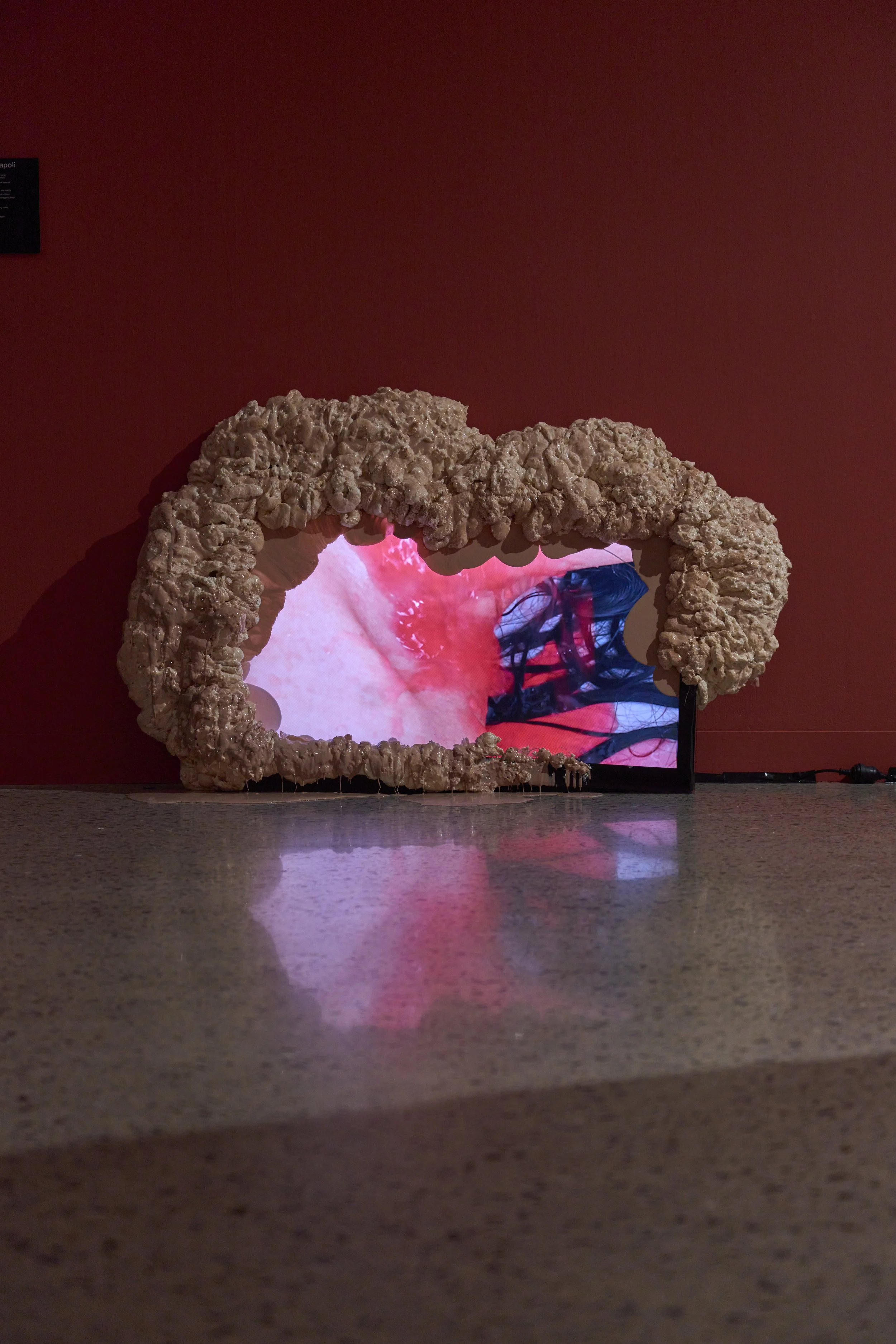'Anarchive: Gut-feeling' installation view, 2026, Adelaide Contemporary Experimental. Photography by Sam Roberts.