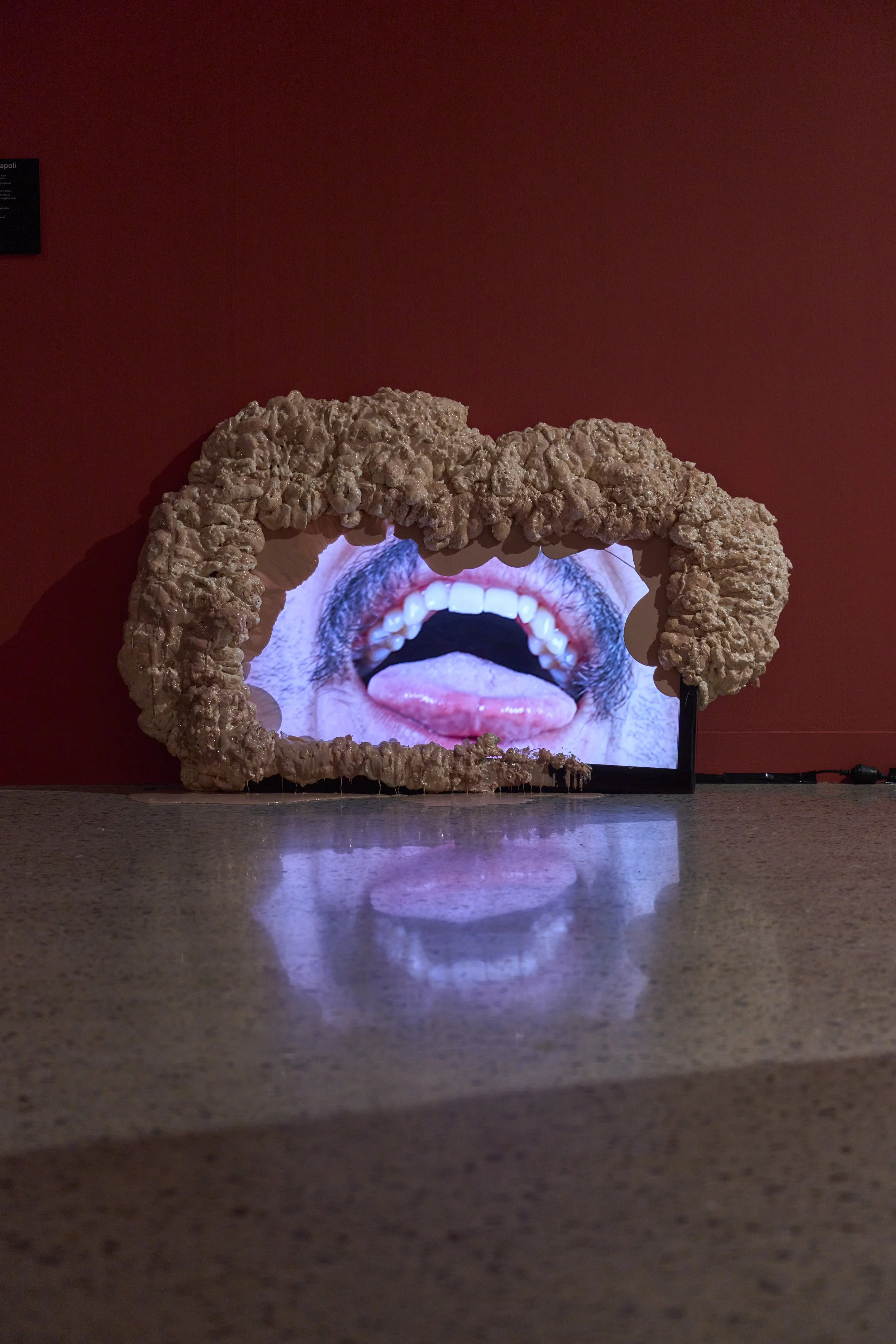 'Anarchive: Gut-feeling' installation view, 2026, Adelaide Contemporary Experimental. Photography by Sam Roberts.
