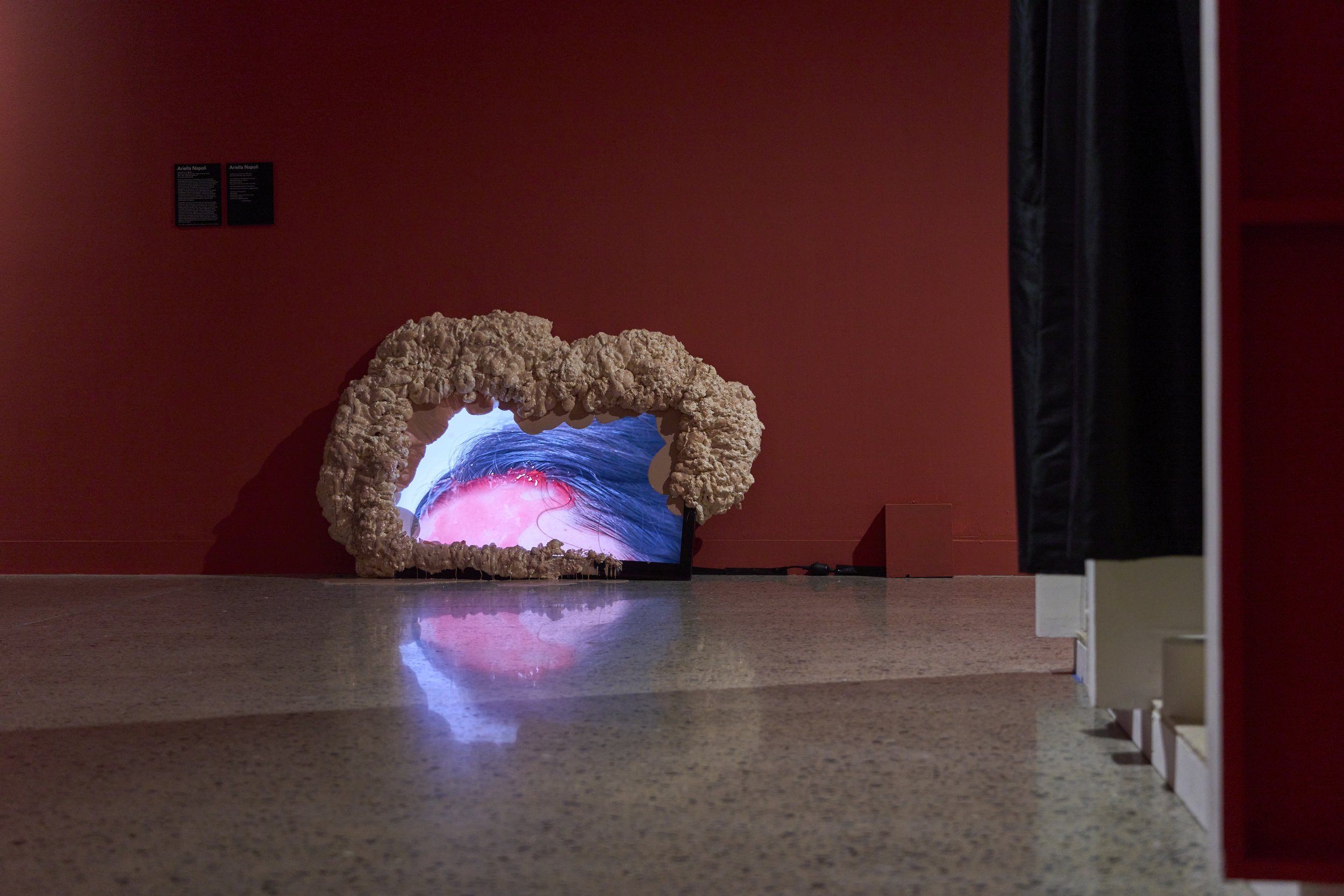 'Anarchive: Gut-feeling' installation view, 2026, Adelaide Contemporary Experimental. Photography by Sam Roberts.