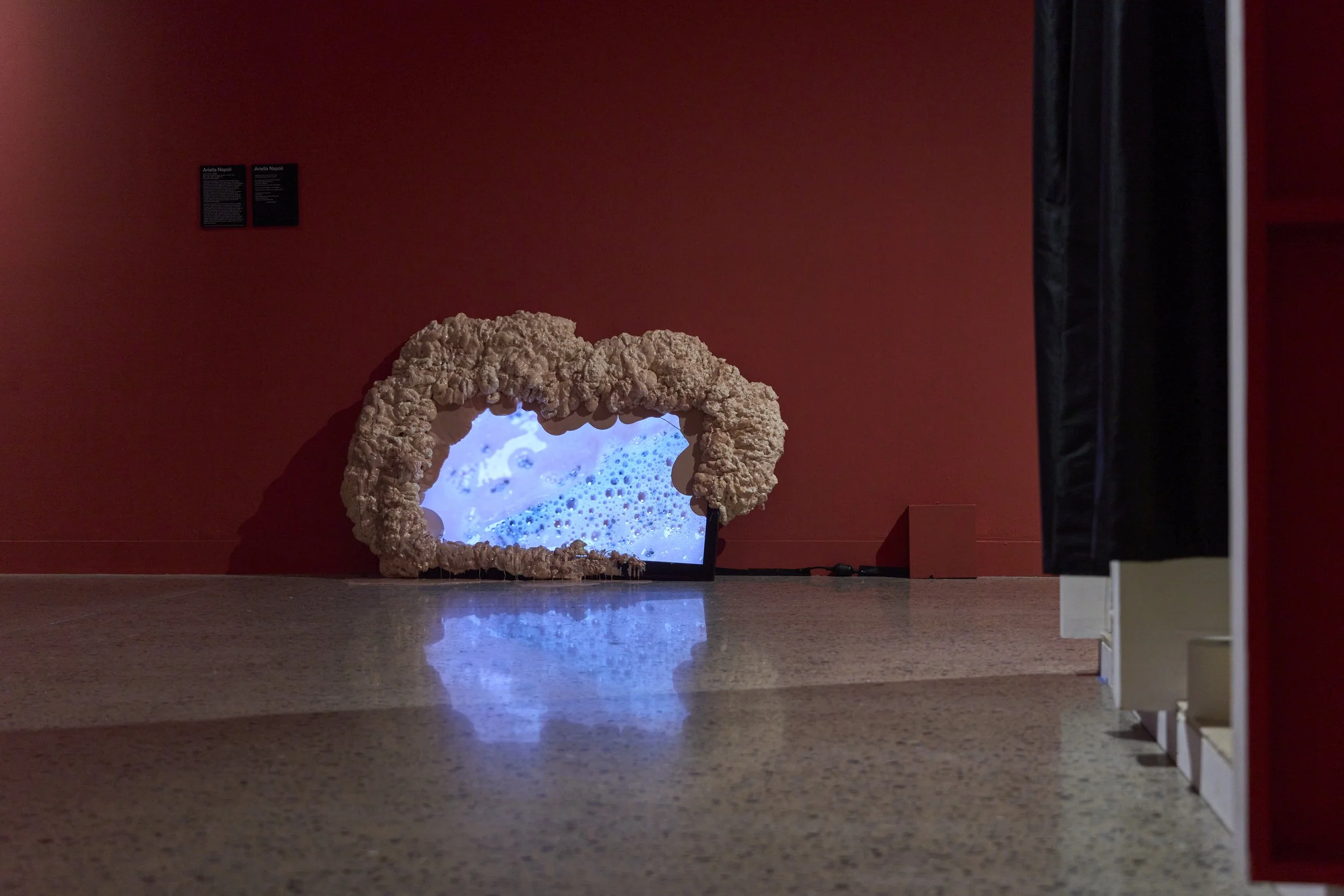 'Anarchive: Gut-feeling' installation view, 2026, Adelaide Contemporary Experimental. Photography by Sam Roberts.