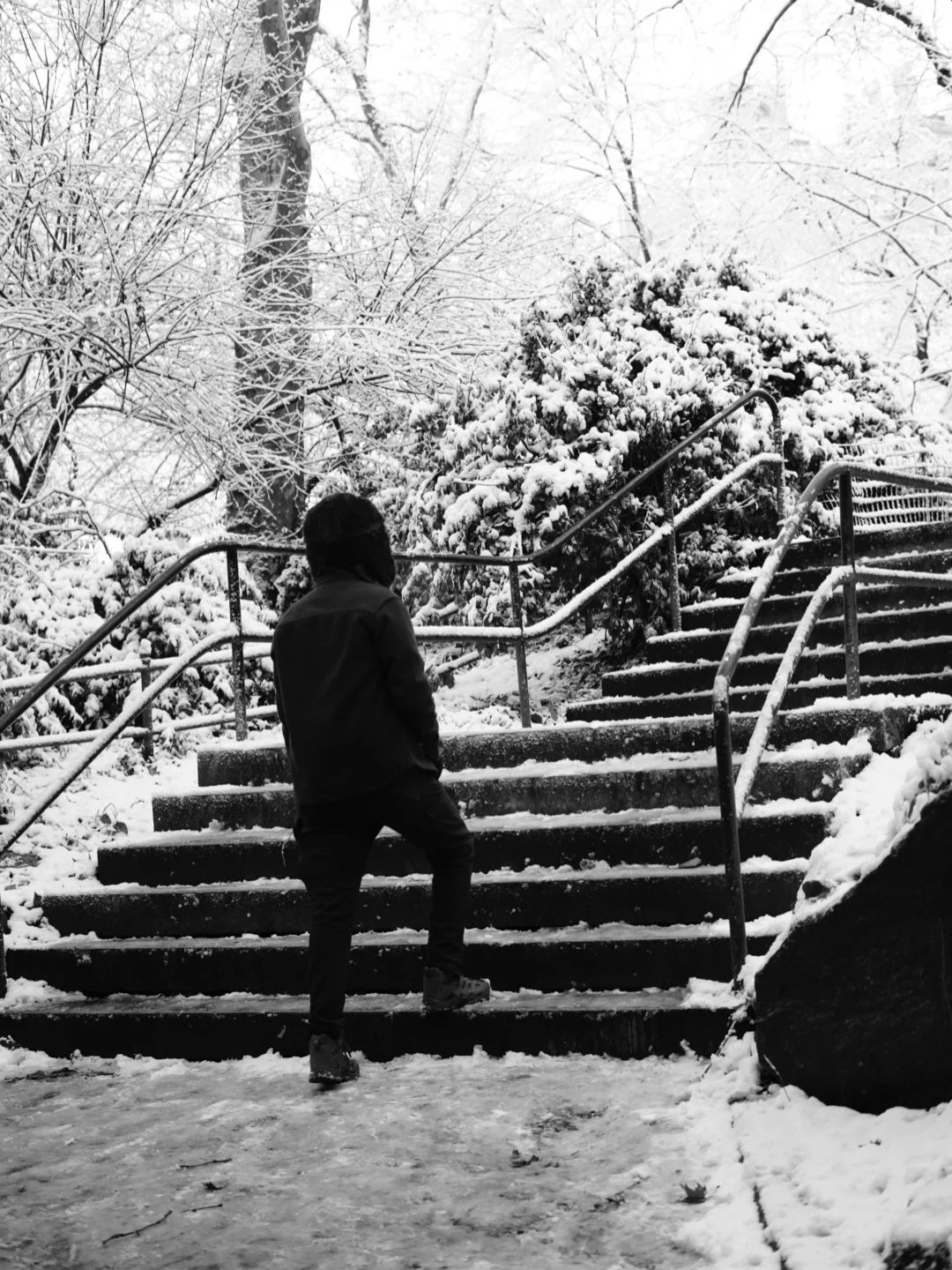 Spent the day having a wonderful stroll through the park. Felt like a winter wonderland full of paths where I sought out questions about myself. Questions like who I am? What I am? Where am I headed? Why does it feel like I&rsquo;m more incomplete th