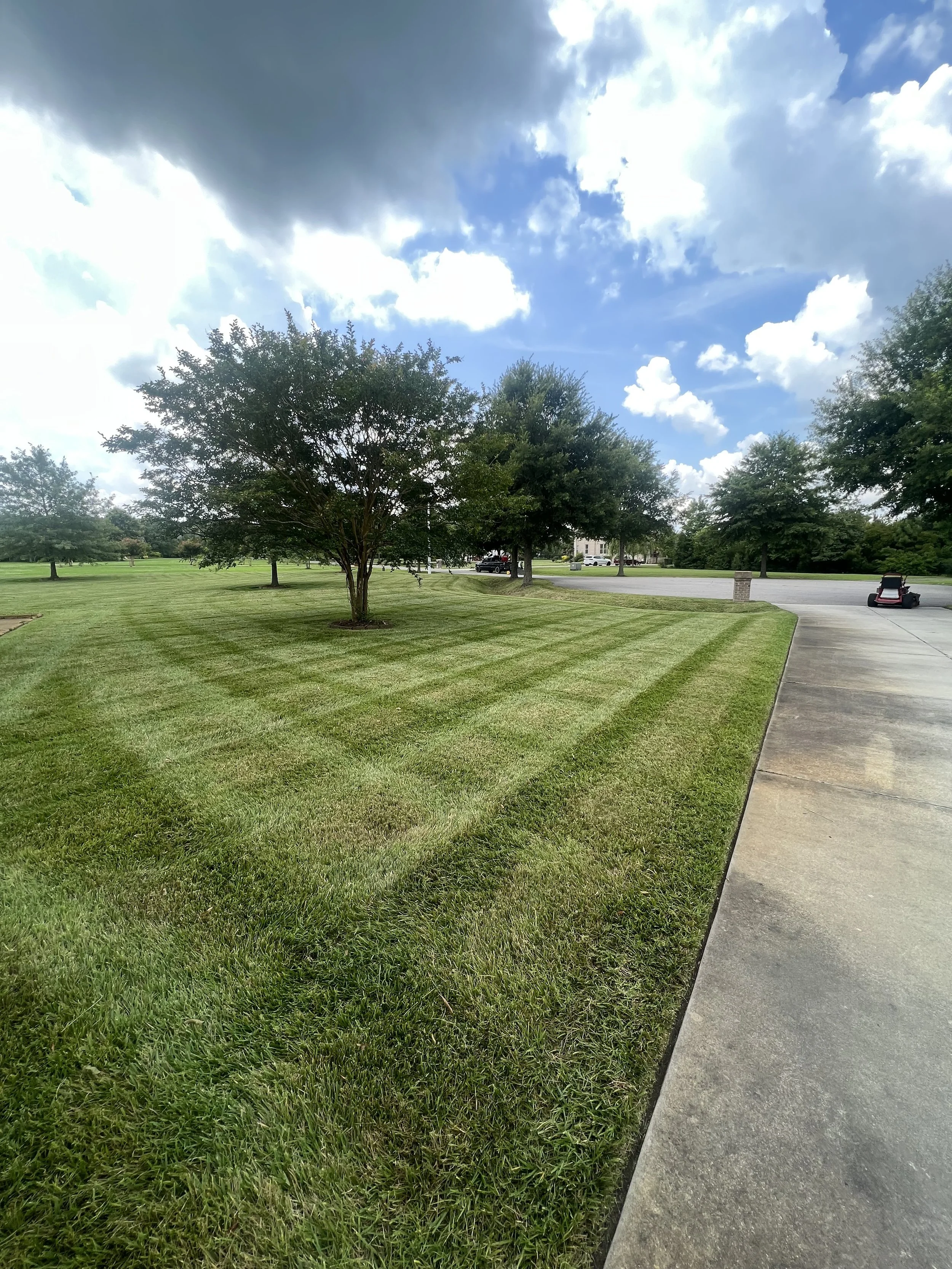 Professional lawn care image highlighting striped mowing patterns on a manicured lawn, suitable for landscaping or home maintenance pages.