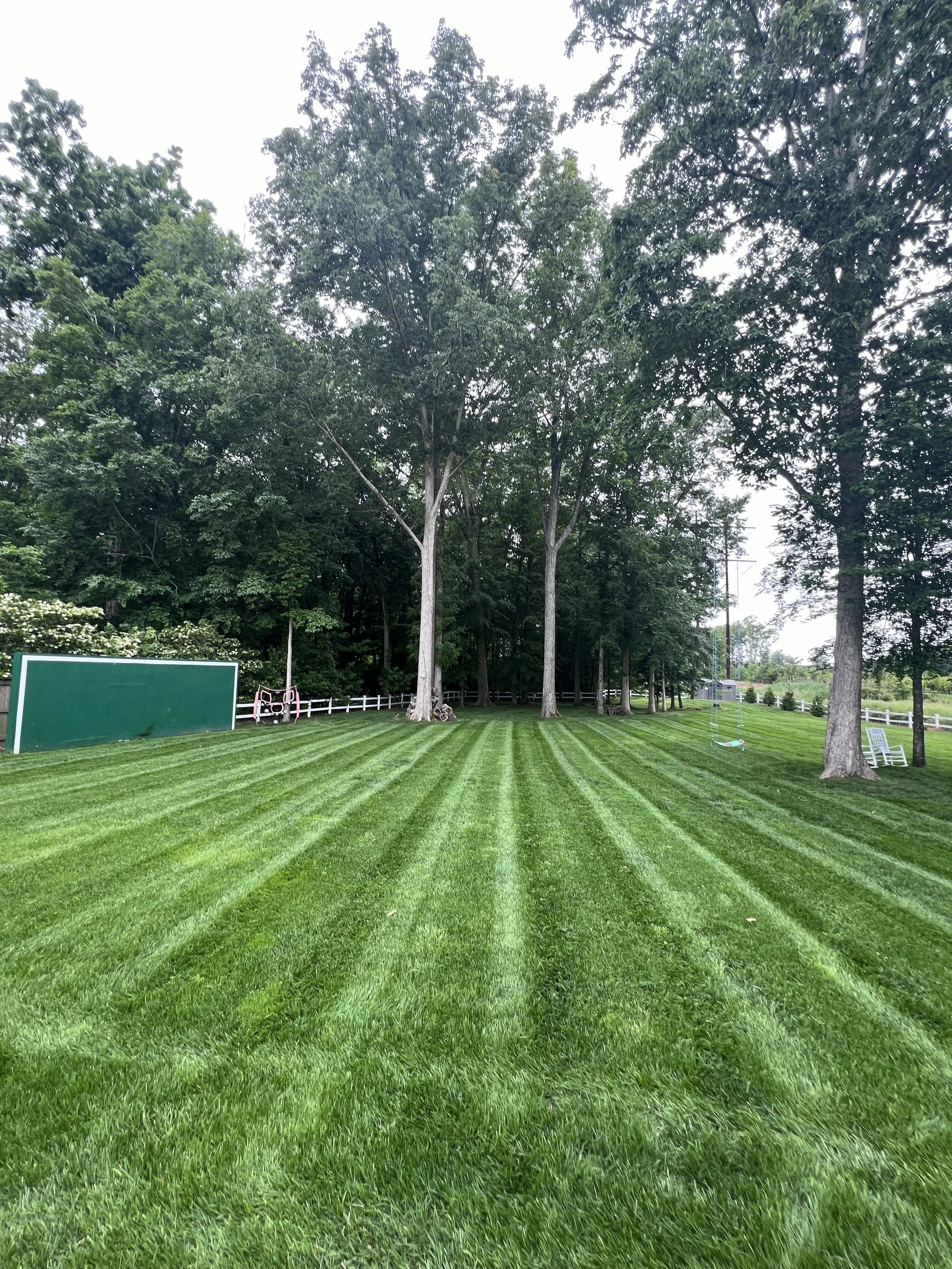 Fresh lawn maintenance mowing stripes