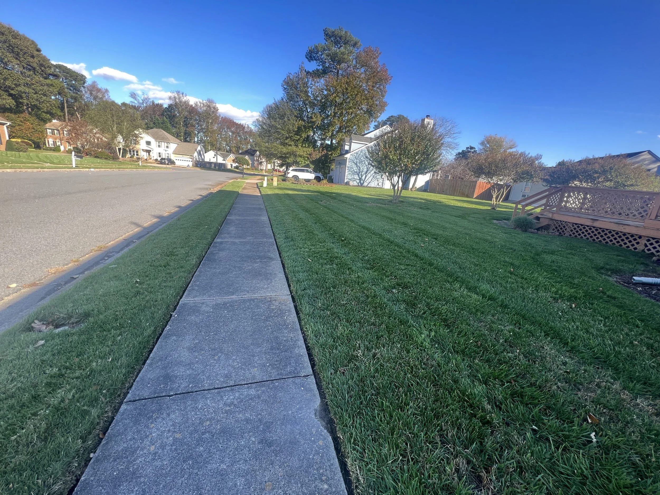 Edged sidewalk lines: clean, precise borders where the lawn meets the sidewalk, with sharp, well-defined grass edges.