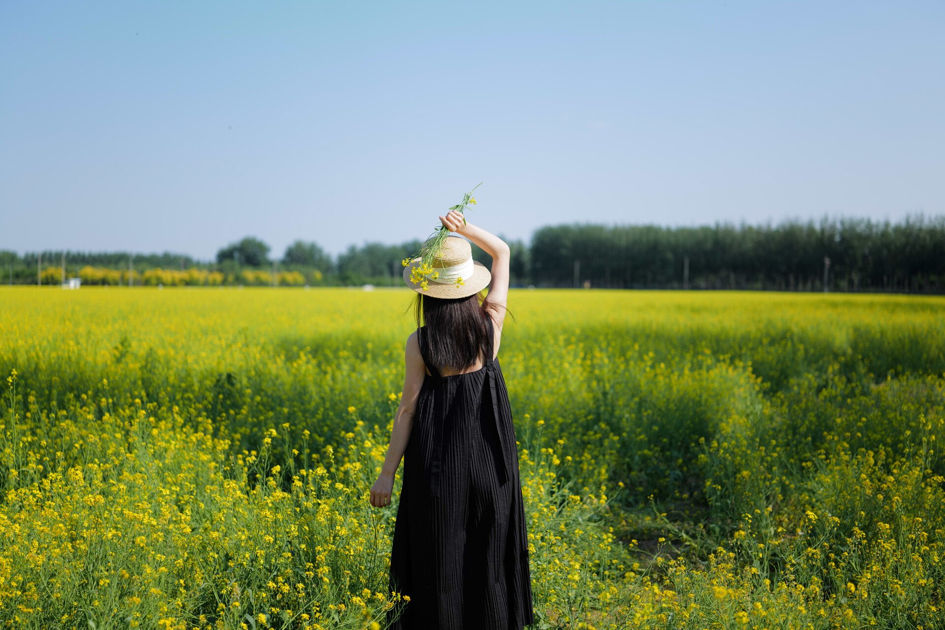 L1020194.DNG_compressed.jpg