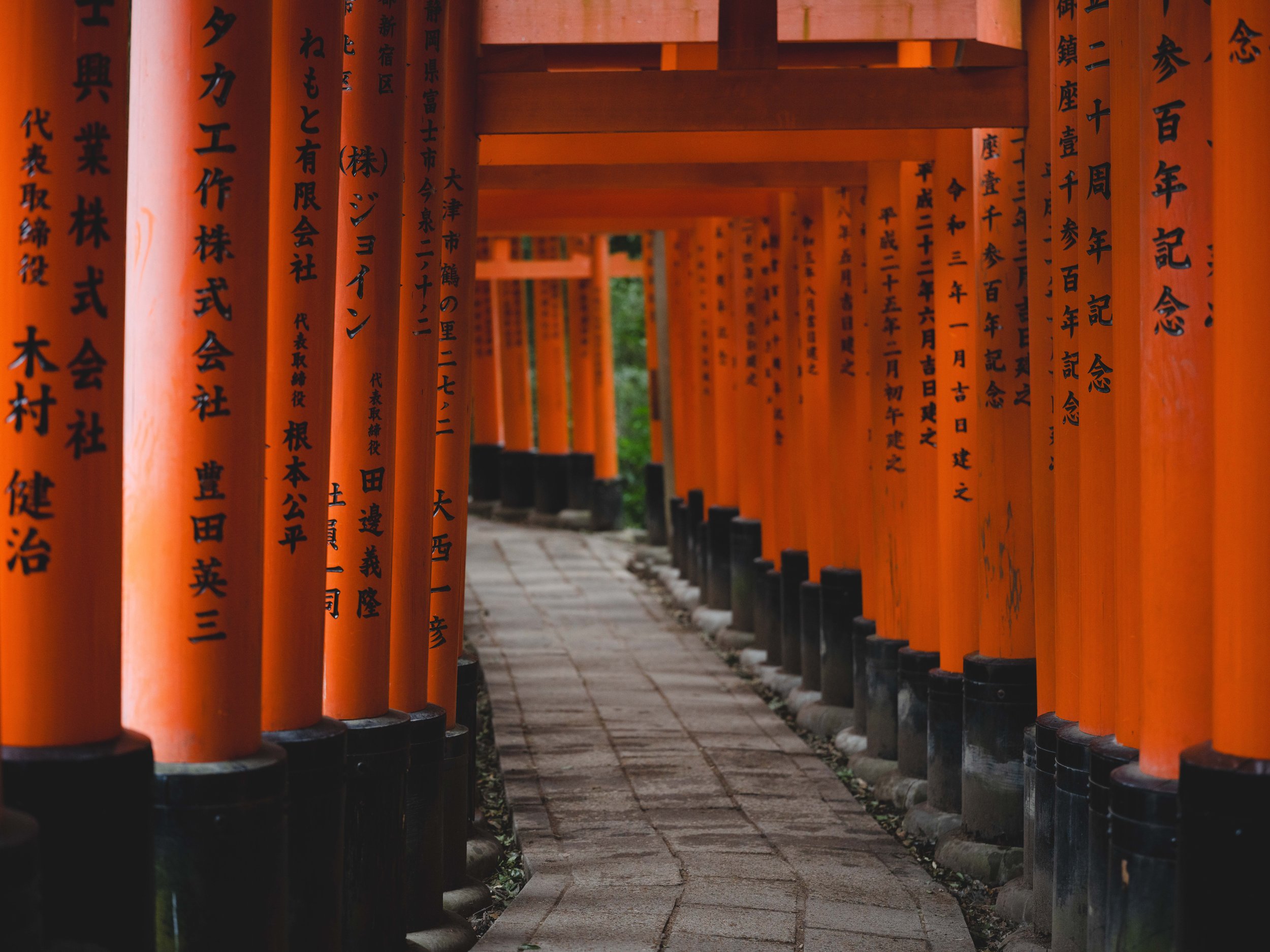京都千本鸟居.jpg