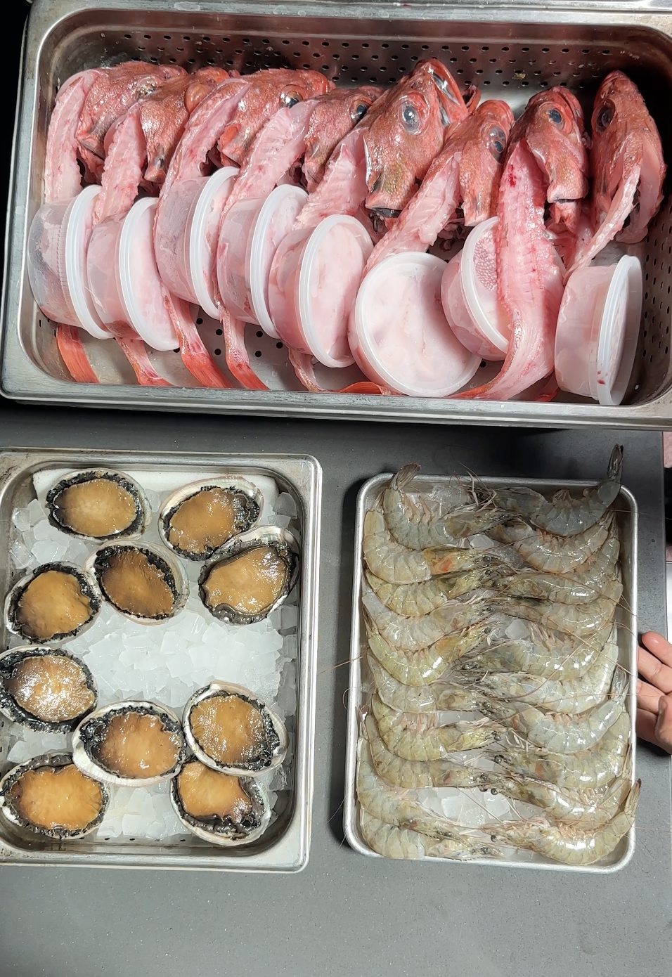 Raw seafood display with red fish heads, abalone, and shrimp on trays