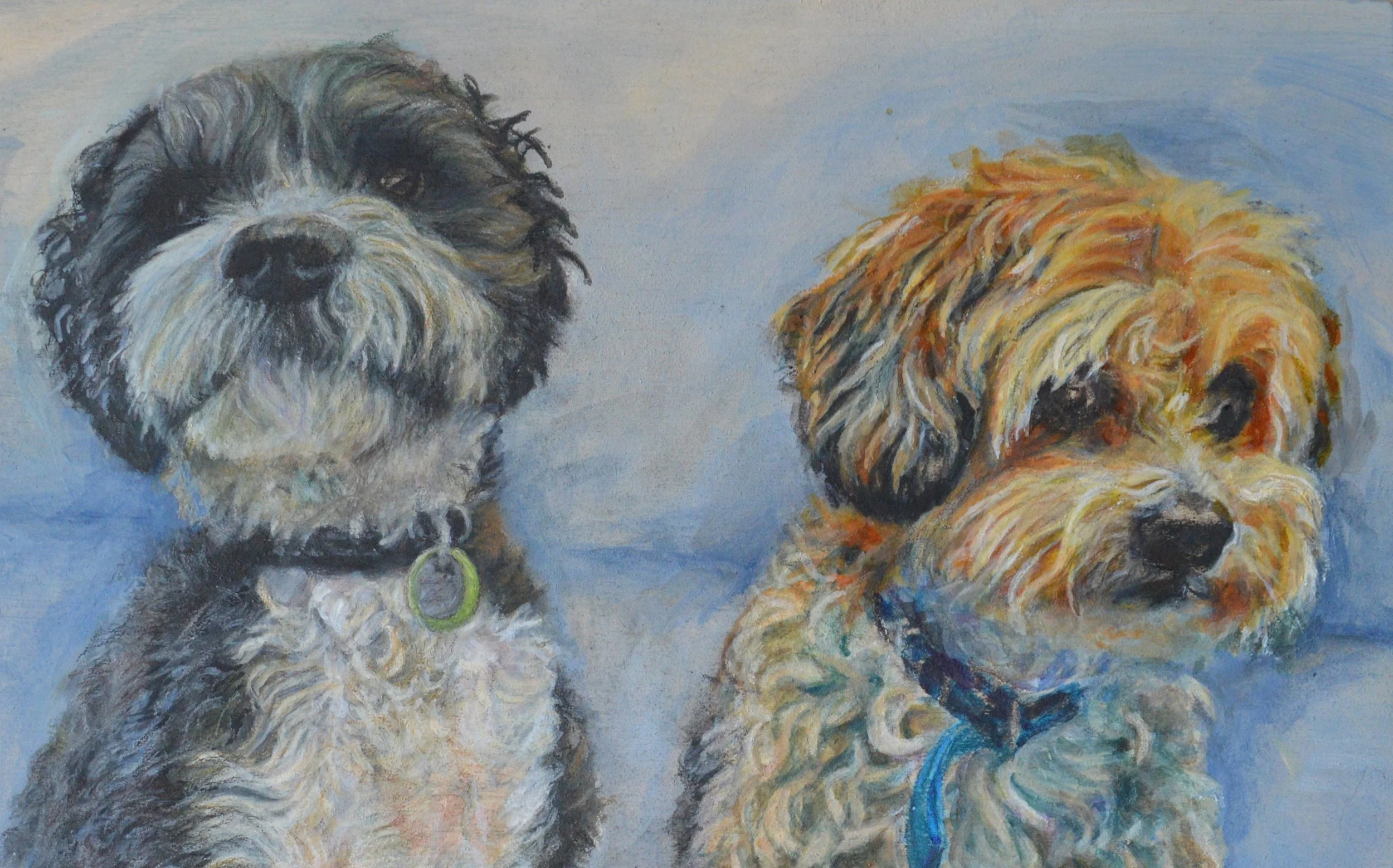 Painting of two dogs, one black and white and the other tan, both with curly fur, against a light background.