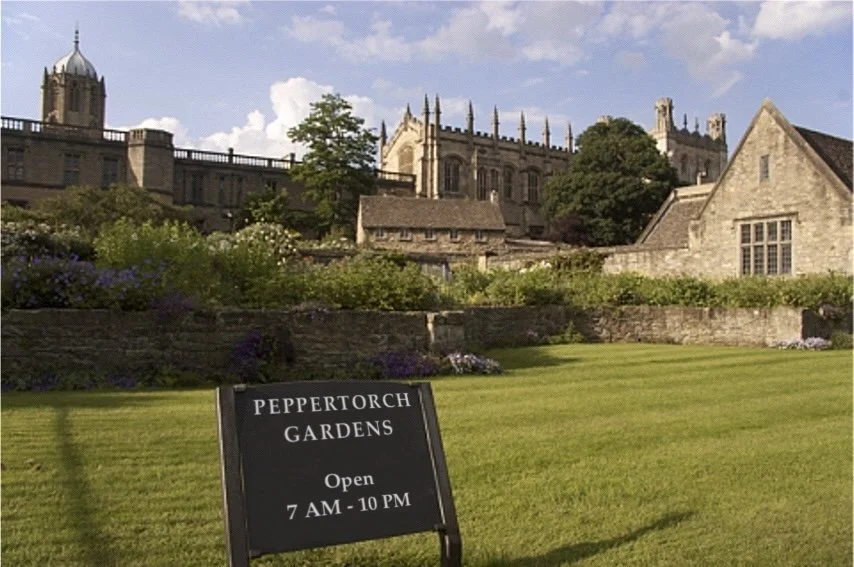 Gardens after renovation