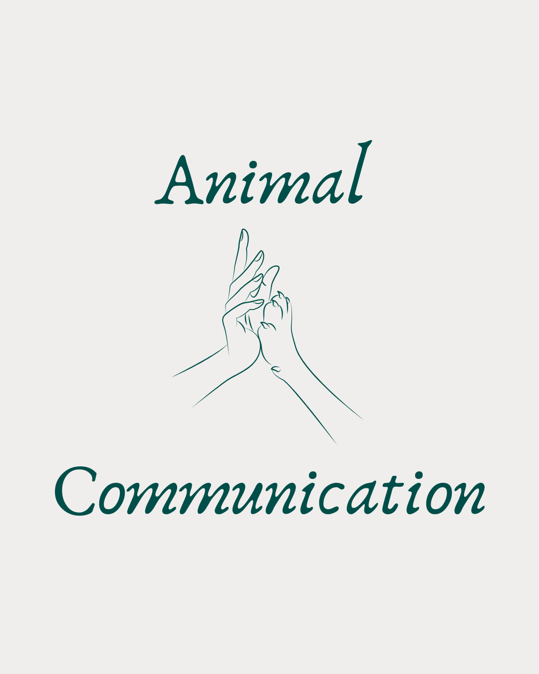 Mayfly Spirit Animal Communication graphic