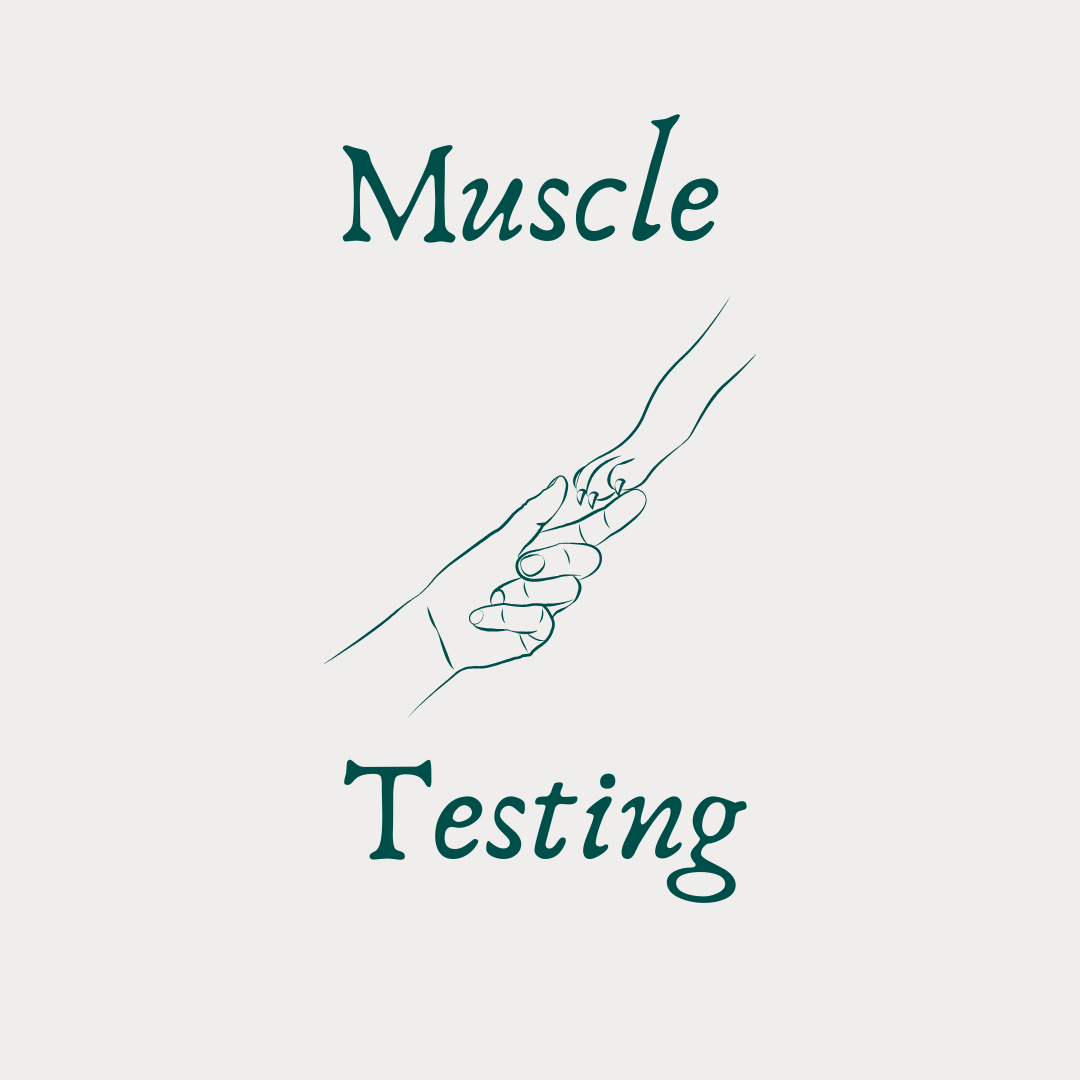 Mayfly Spirit Muscle Testing graphic